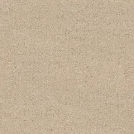 Beige Textured Carpet - Soft and Durable Flooring for Home Comfort Beige textured carpet swatch showcasing a soft and durable surface ideal for everyday home comfort