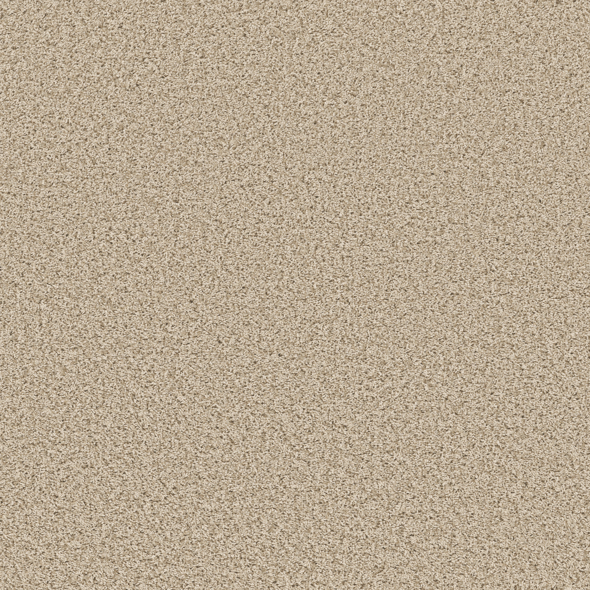 COOL FLAIR DANDELION MAIN