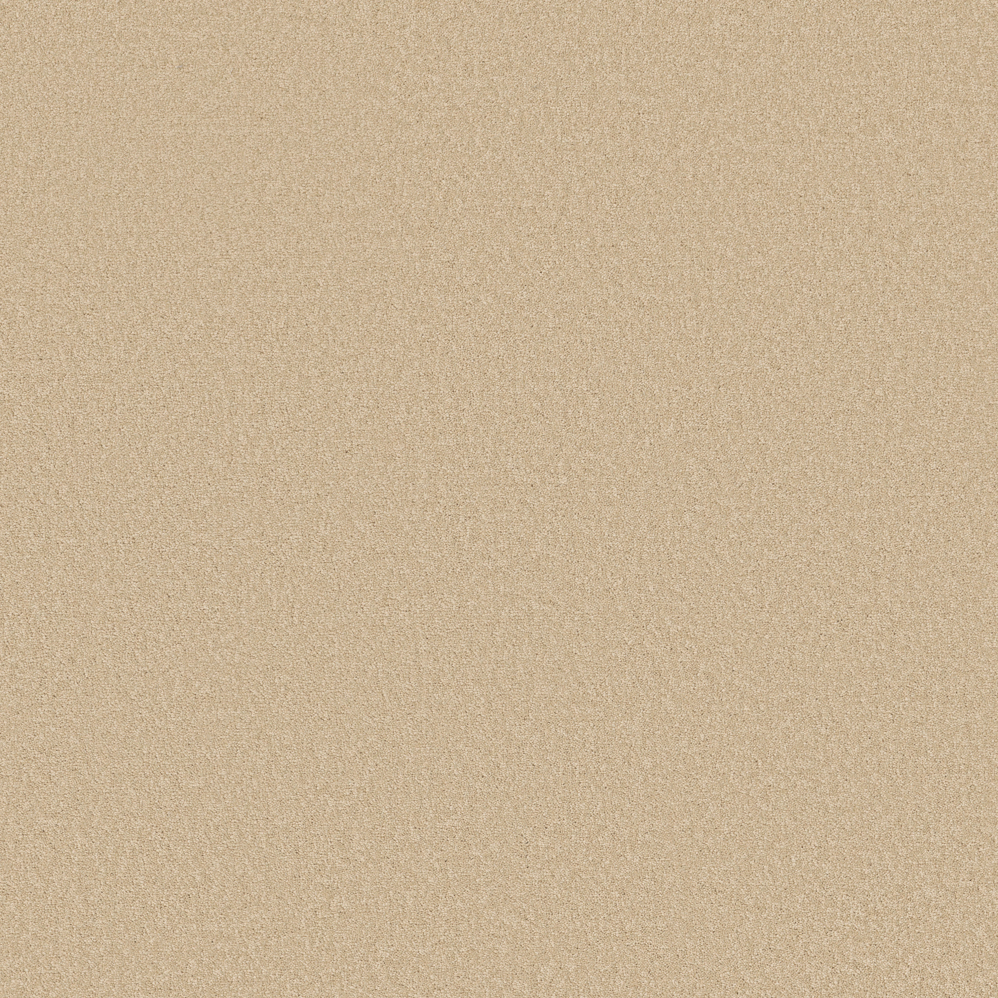 TIMELESS APPEAL I 12' ALMOND FLAKE MAIN