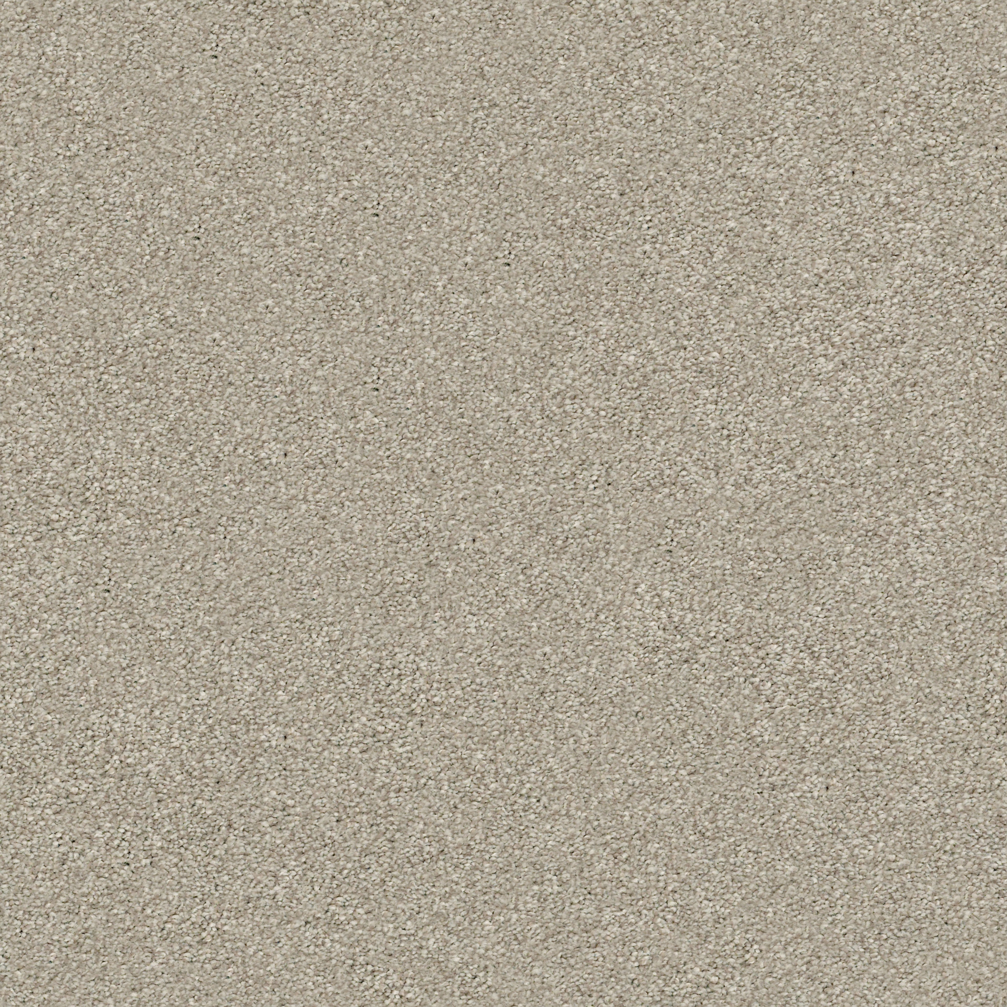 ALFONZETTI☆Ready Discover - 100% ANSO® High Performance PET in Vintage Find