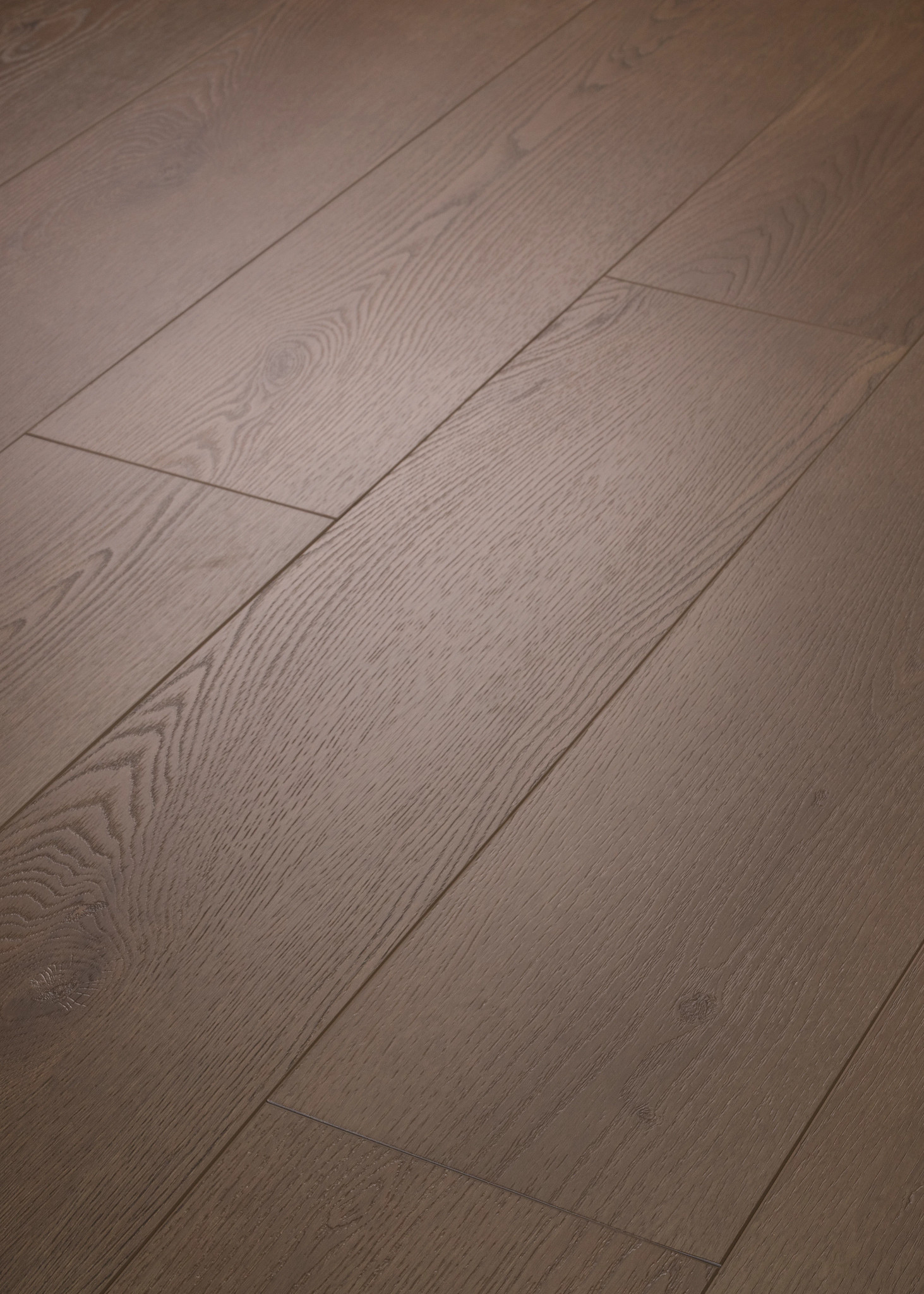 HOMEWARD MIDNIGHT MOCHA ANGLED