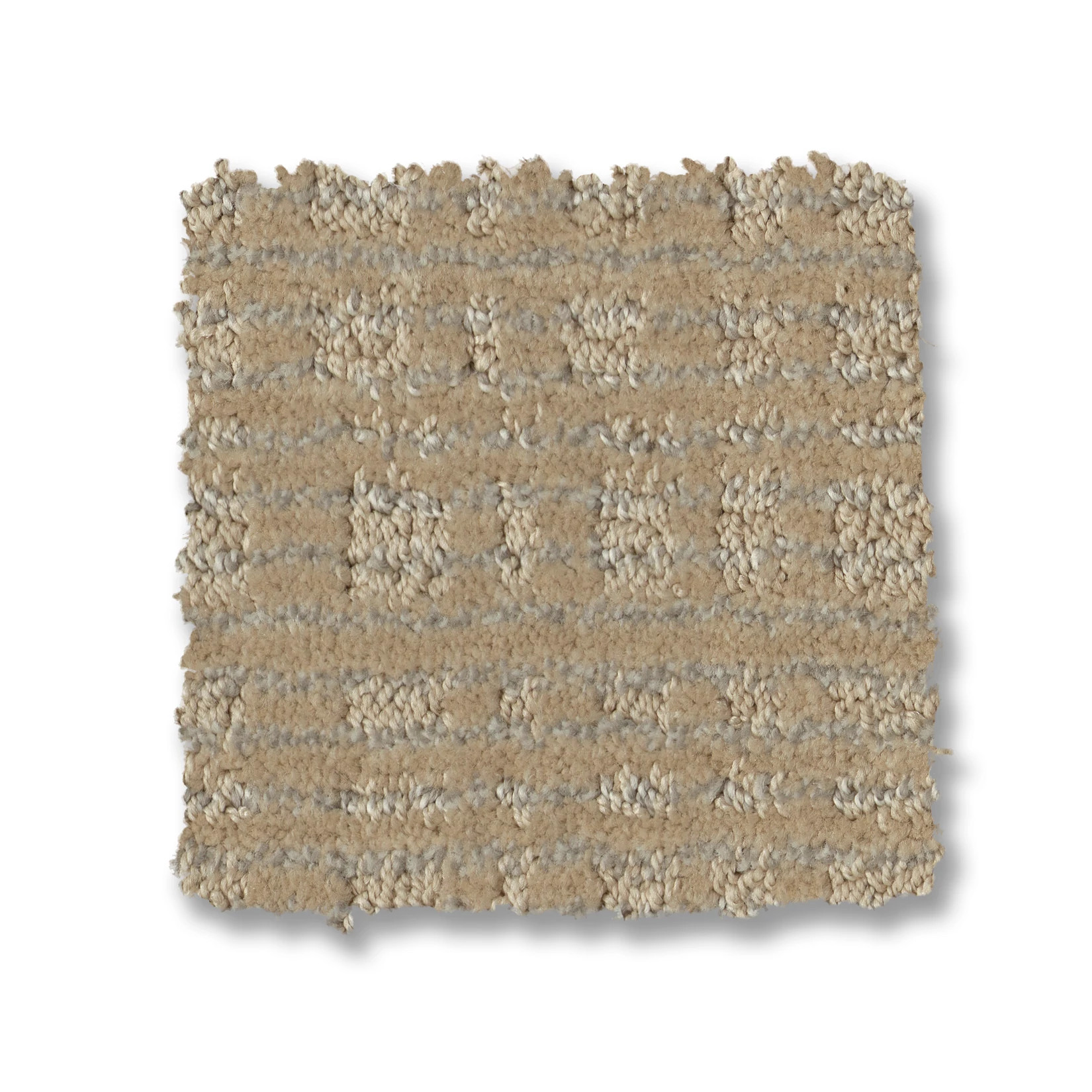 PURRSUASION SUNRISE SWATCH