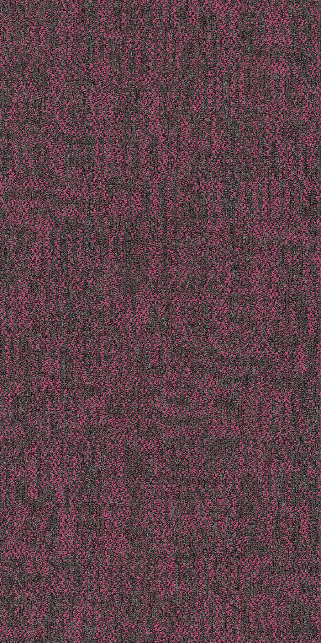 CRAZY-SMART-54841-HOTSHOT-00910-main-image