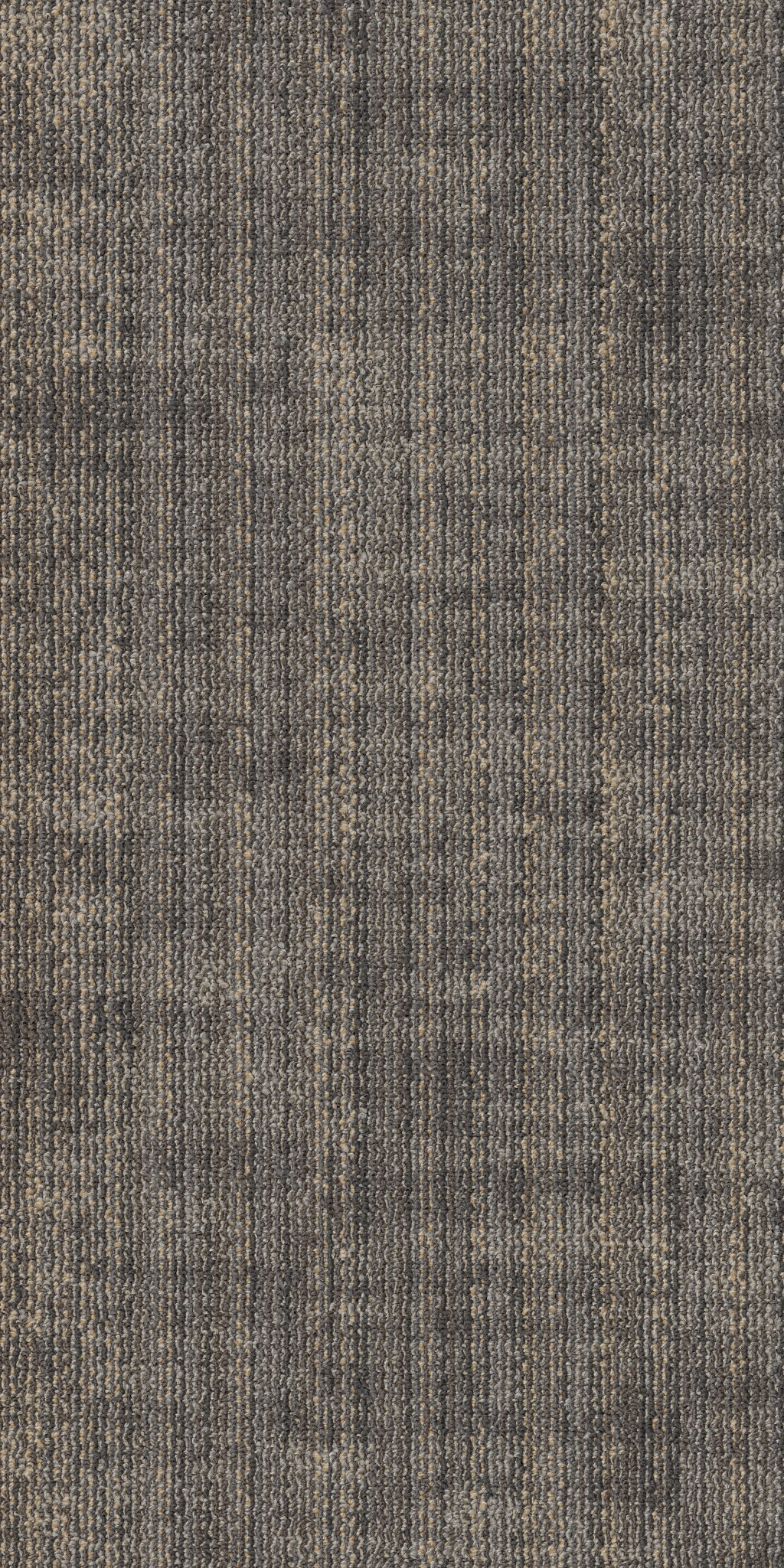 TERRENA-TL-55010-HABITAT-00220-main-image