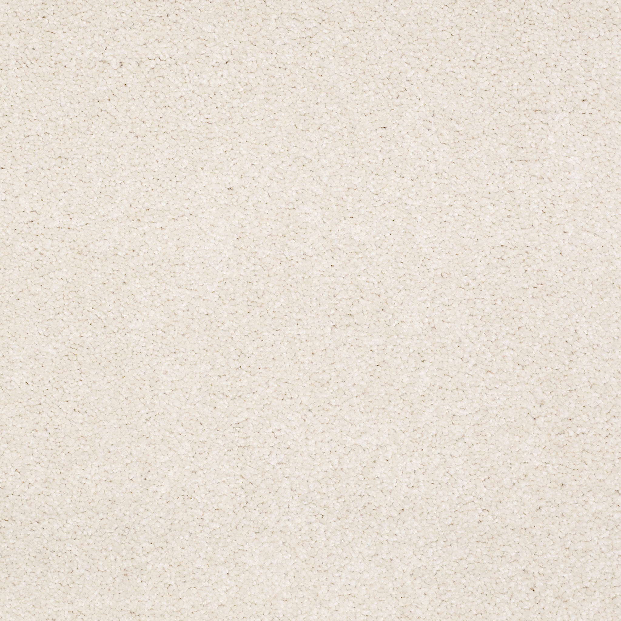 SANDY HOLLOW CLASSIC I 15 MUSHROOM MAIN