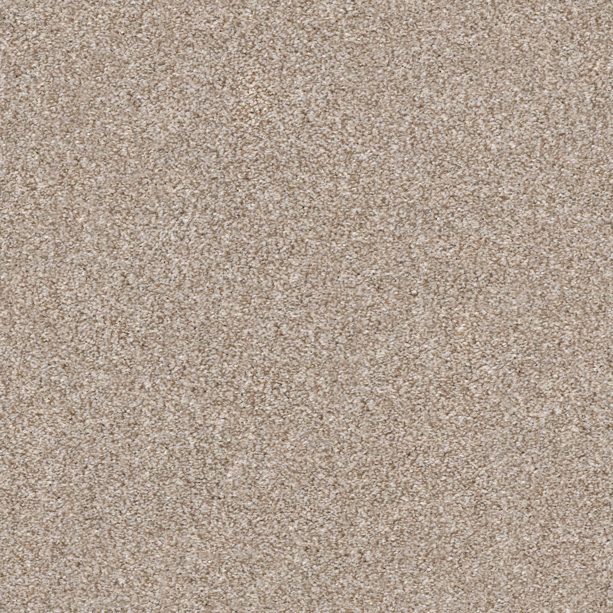 MAKE IT MINE I GRECIAN TAN MAIN