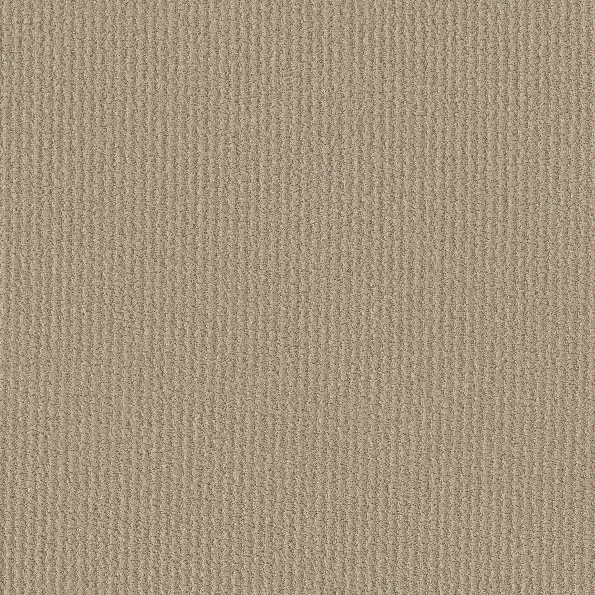 FAST LANE FROST MAIN