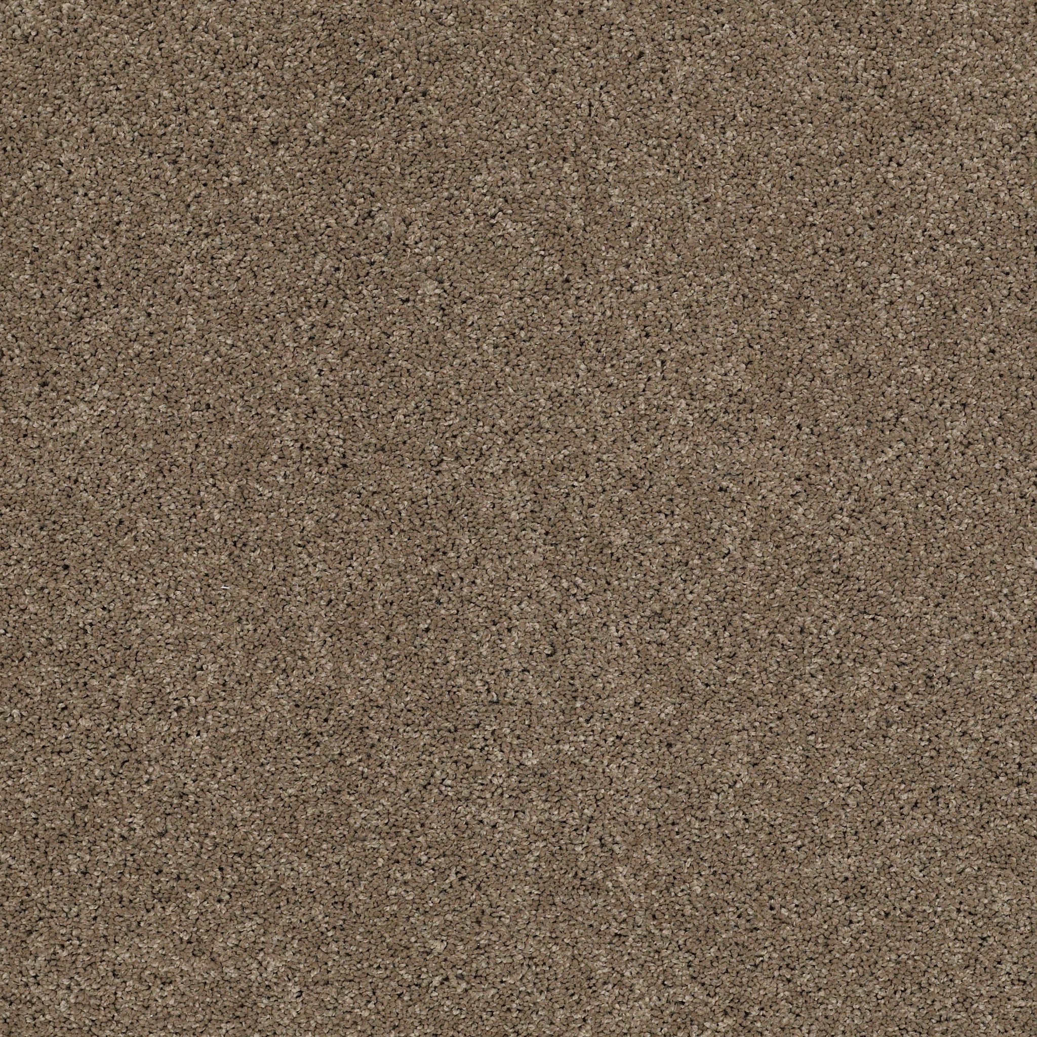 SIDE-TRACK-54837-KENSINGTON-00704-main-image