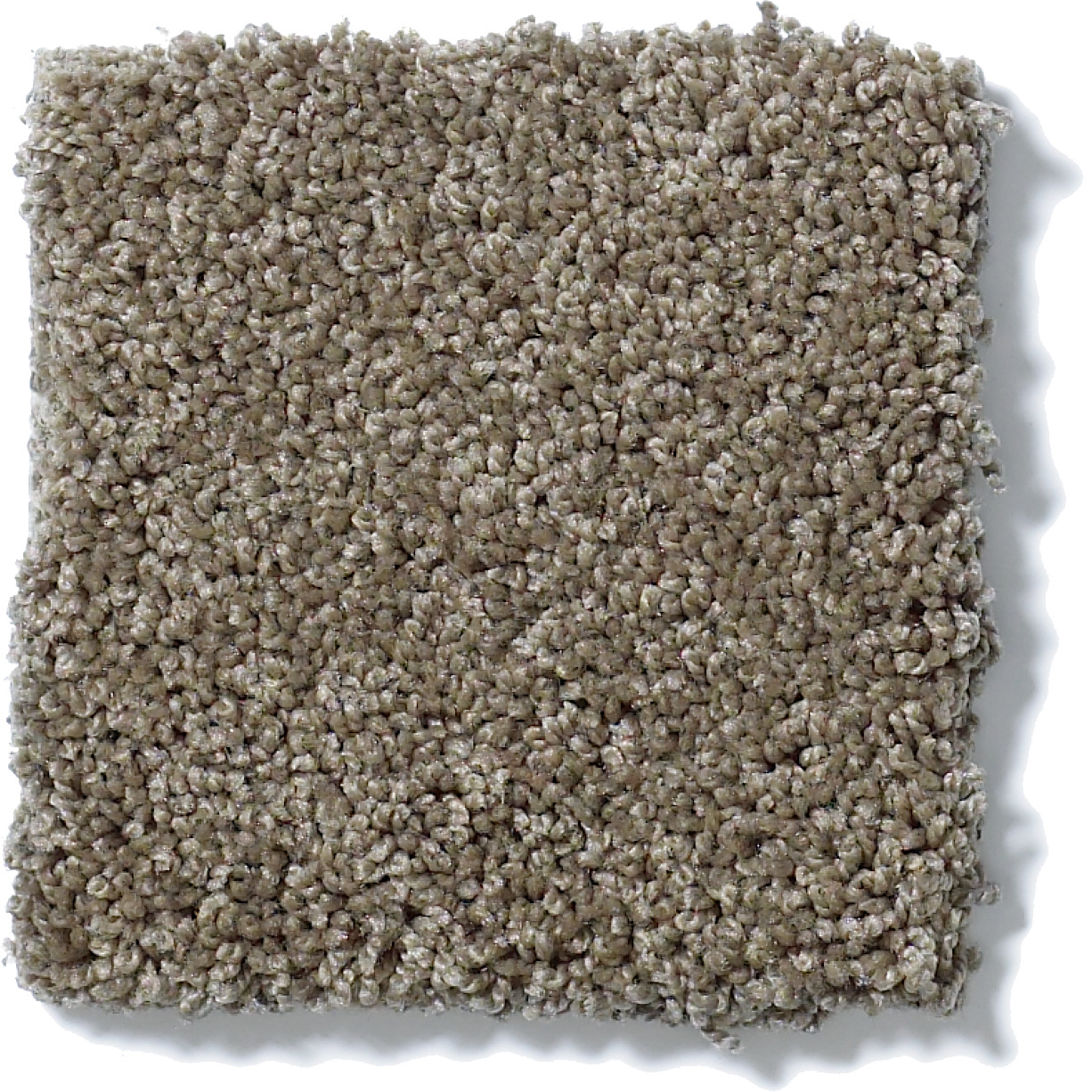 MY CHOICE II FLAX SWATCH