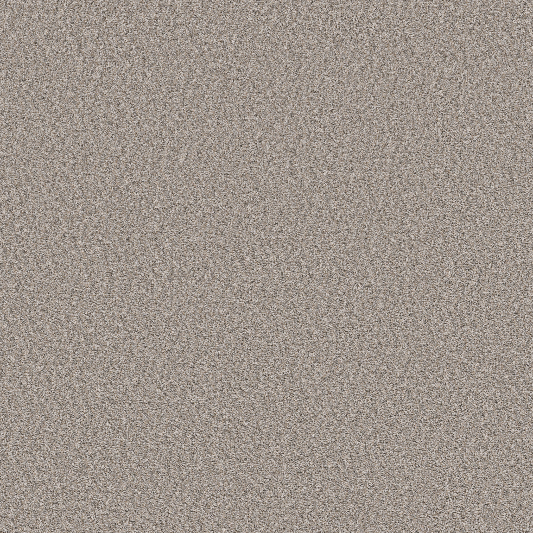 BEST YET SEA SALT MAIN