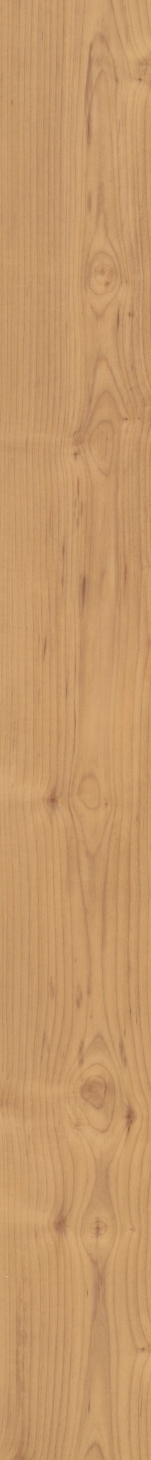 NORWEGIAN MAPLE 1TO1