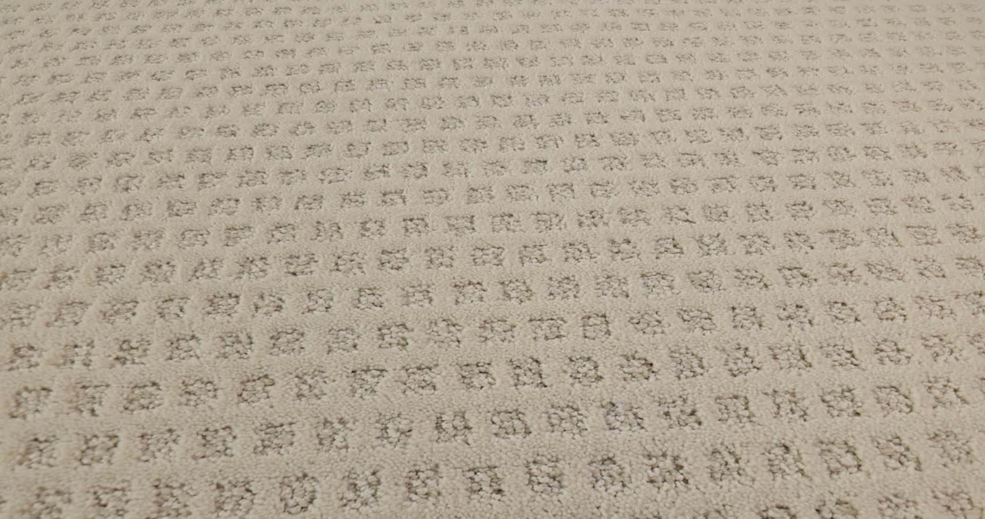 MY EXPRESSION SOFT FLEECE 360PROD