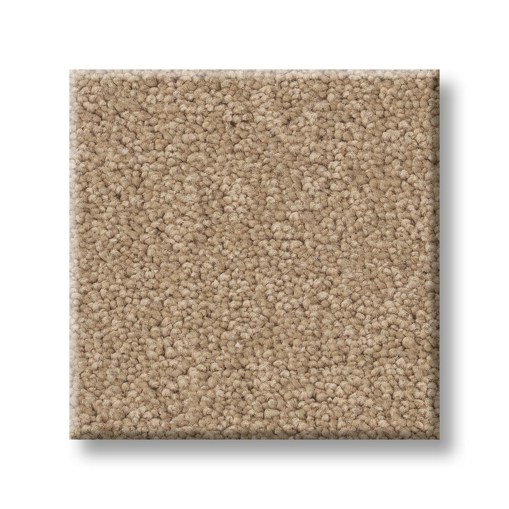 TIMELESS APPEAL III 12' STUCCO SWATCH