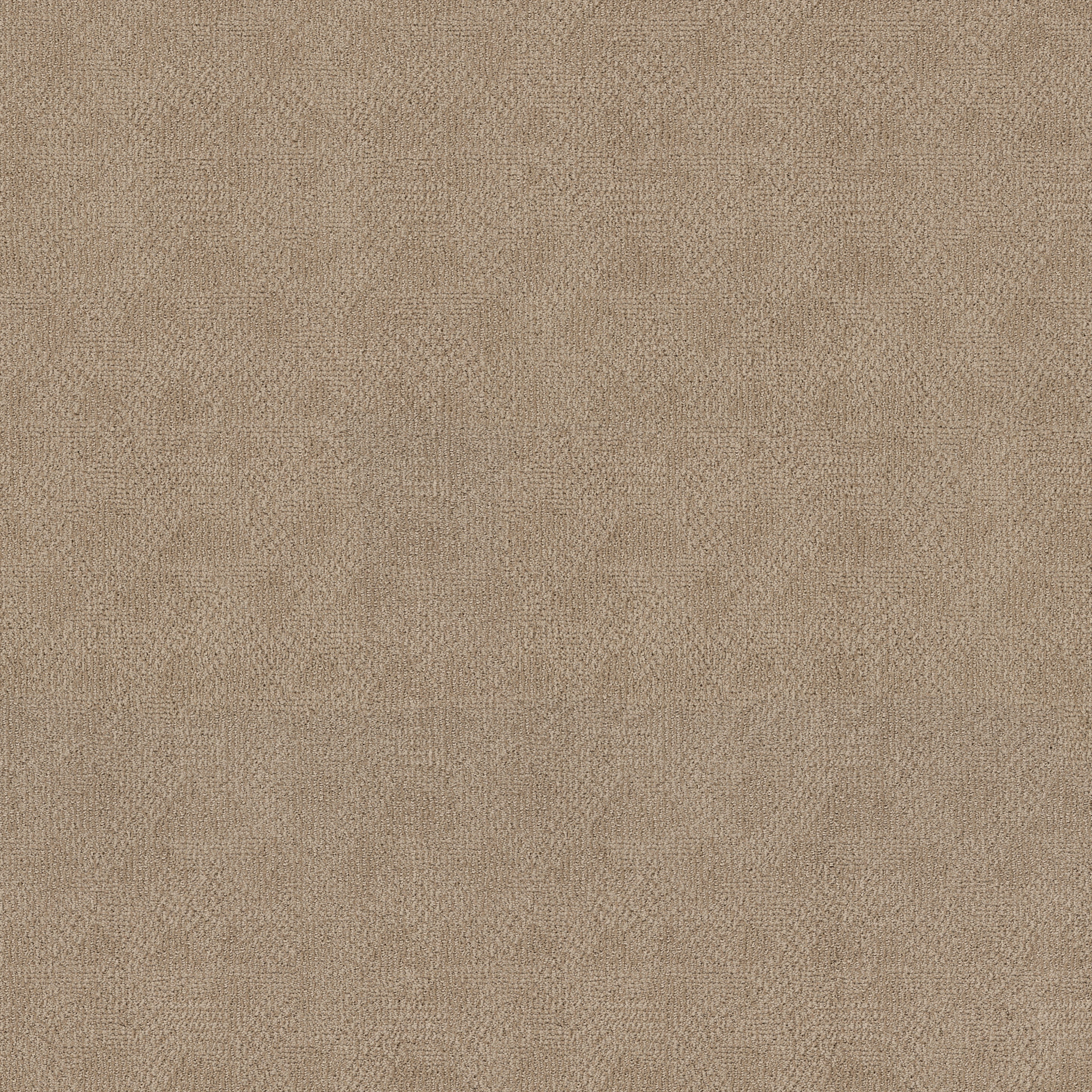 ARIO COASTAL HOME MAIN