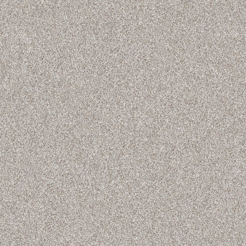 Make It Work E9716 Broadloom Carpet in Scenic Drive color, 12ft wide, 100% Nylon material.