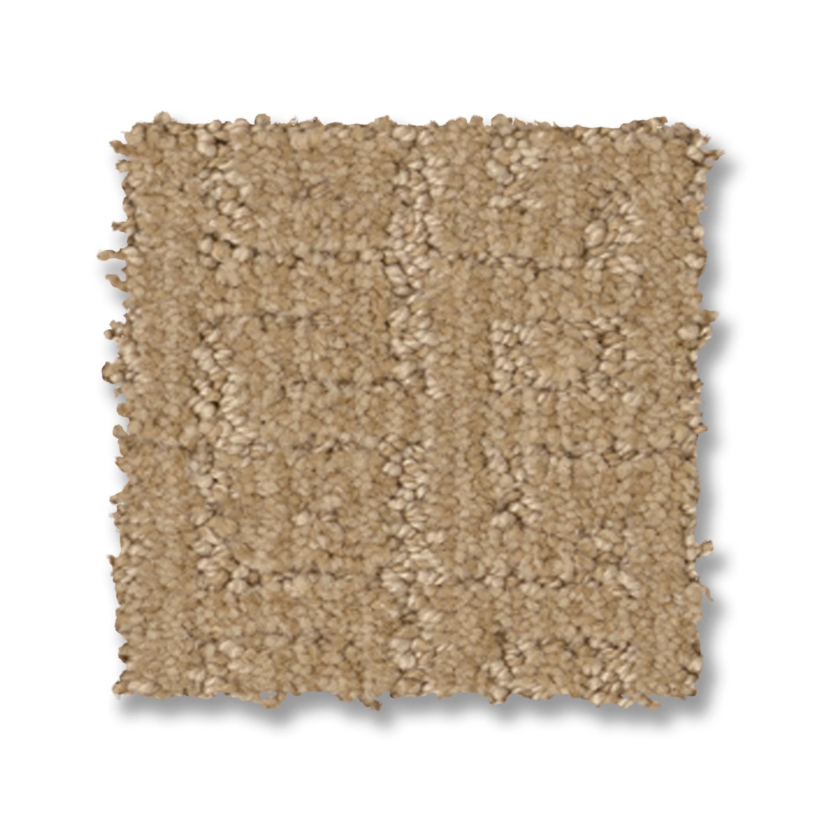 VIGNETTE CELEBRATION SWATCH