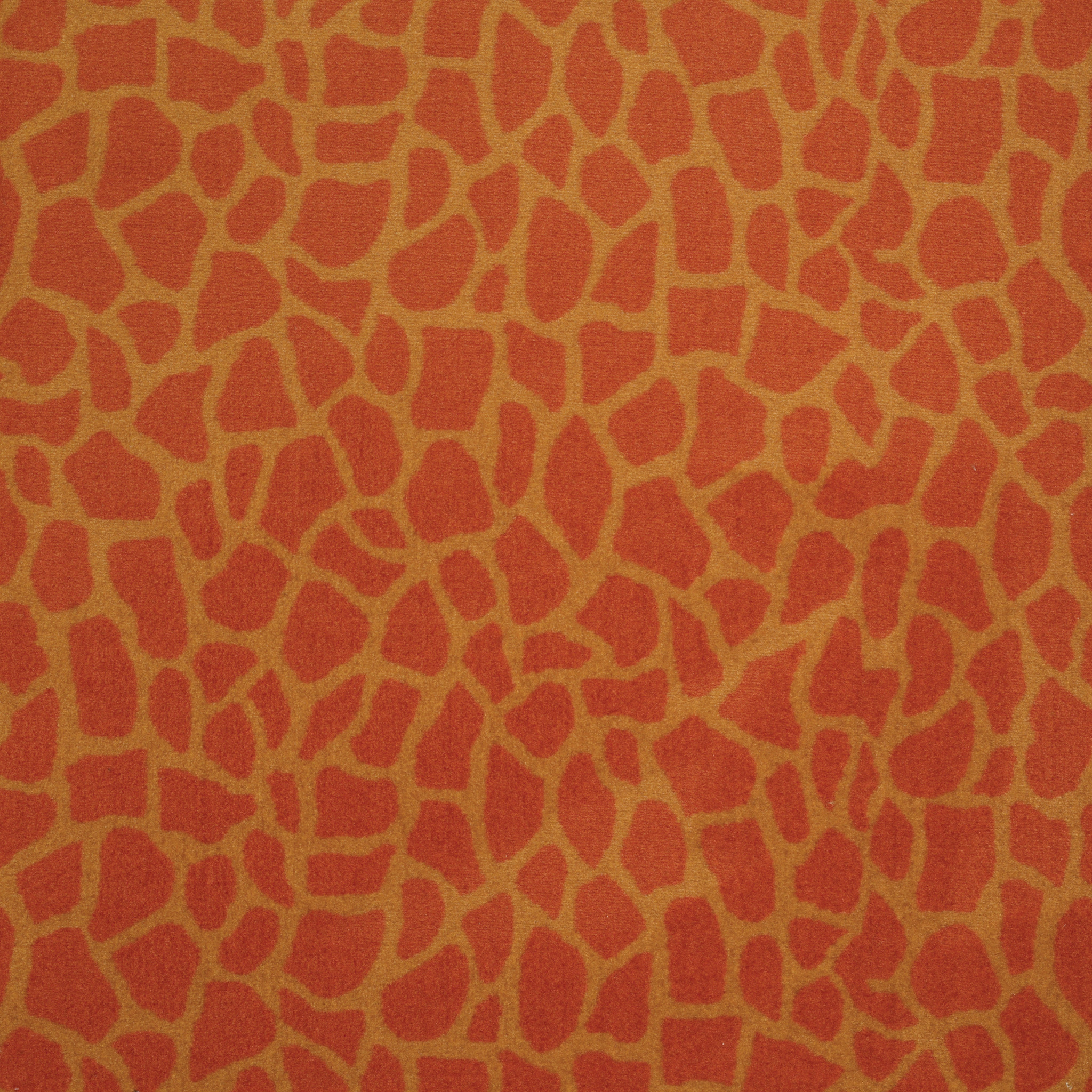 GIRAFFE-54507-ON-STILTS-07600-main-image