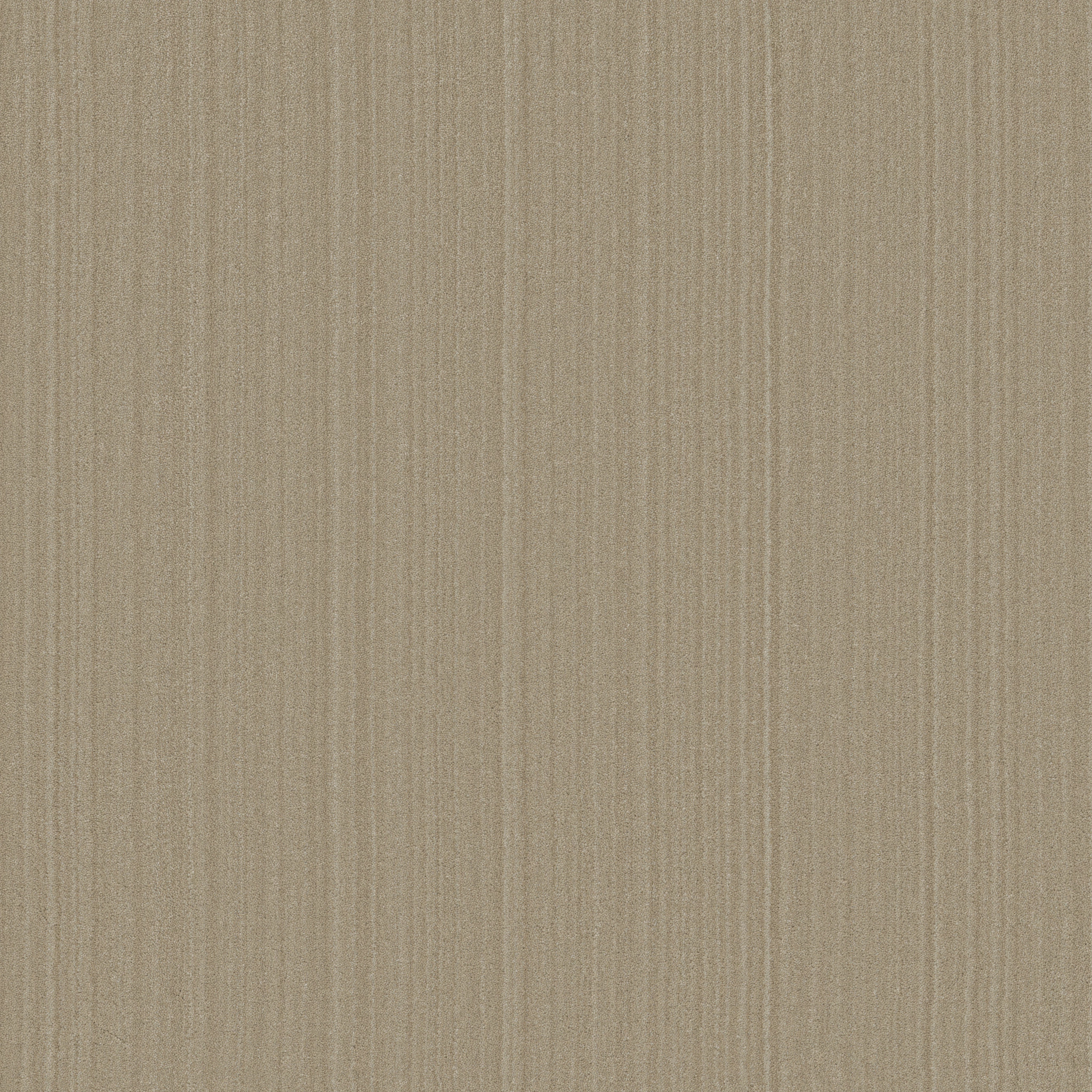 MAGNIFIQUE AGED PARCHMENT MAIN