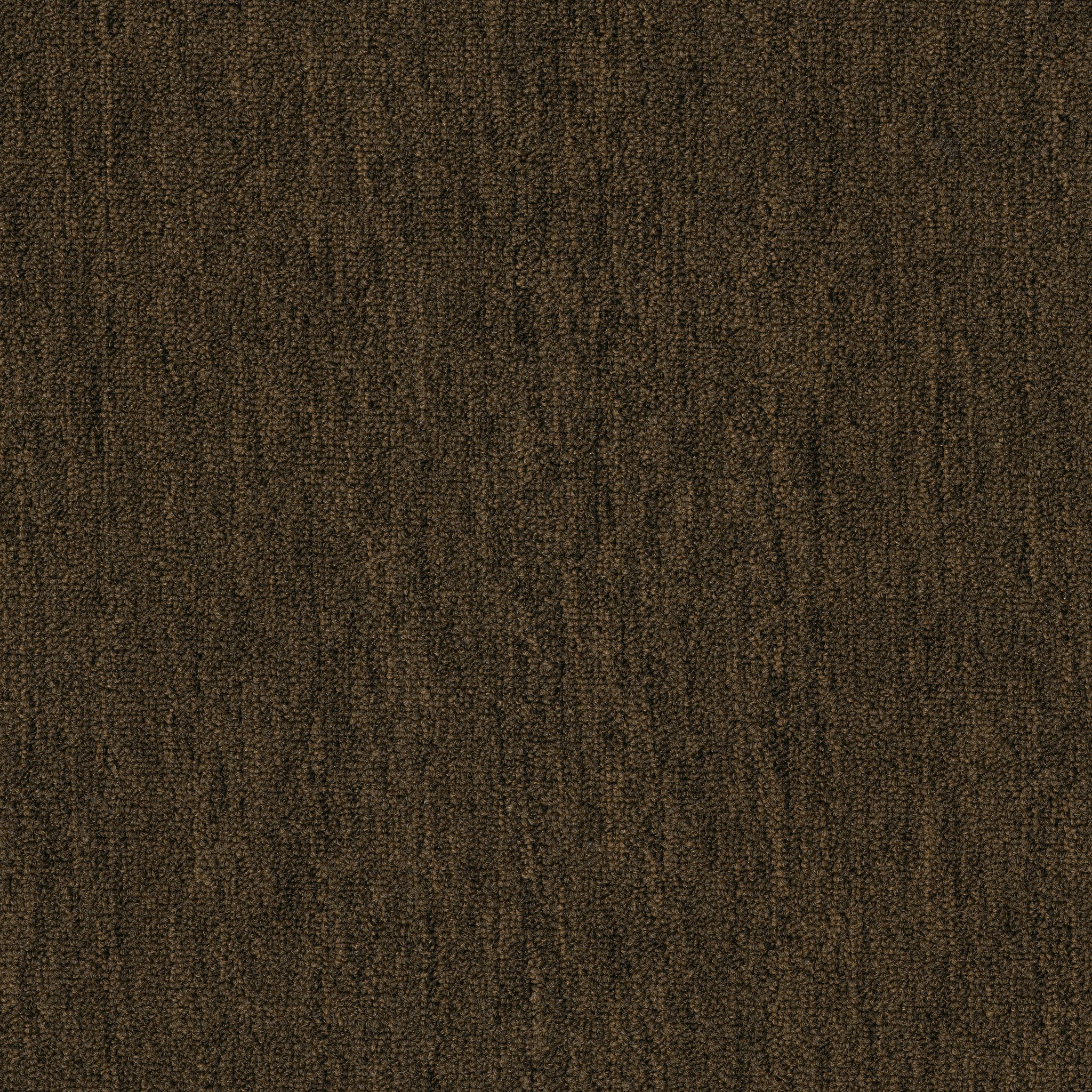 OUTSIDE-AGENDA-54638-CHICORY-00200-main-image