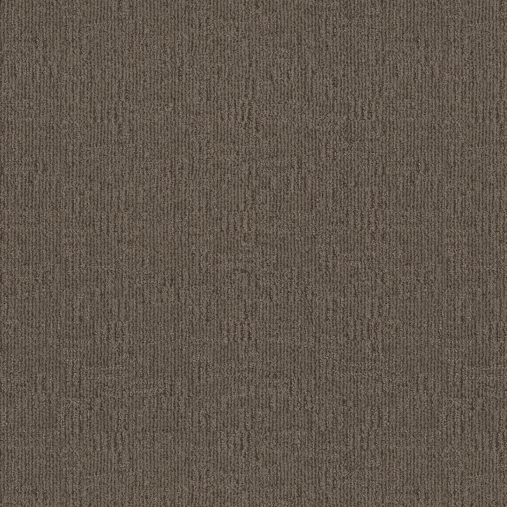 Diego - Carpet for Stairs in Apparition | AndersonTuftex