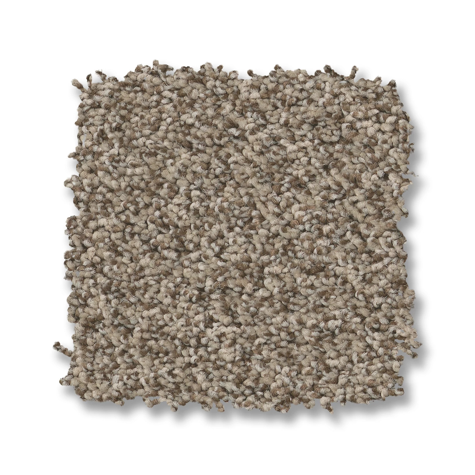 AVALON BAY CHIC TAUPE SWATCH