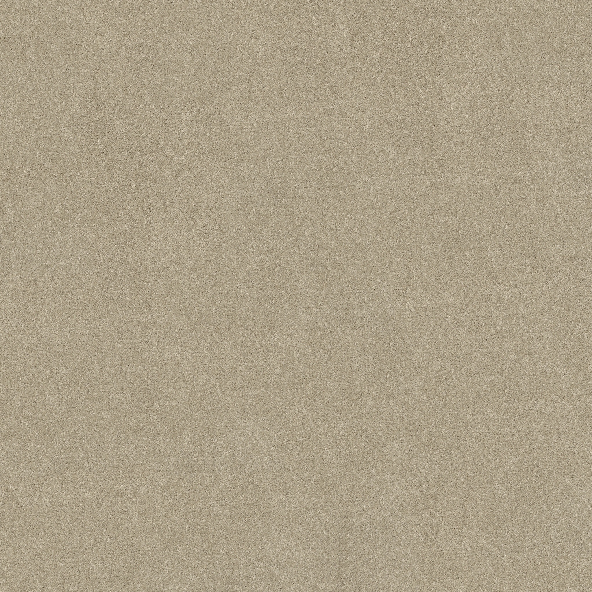 LOOK FORWARD LINEN MAIN