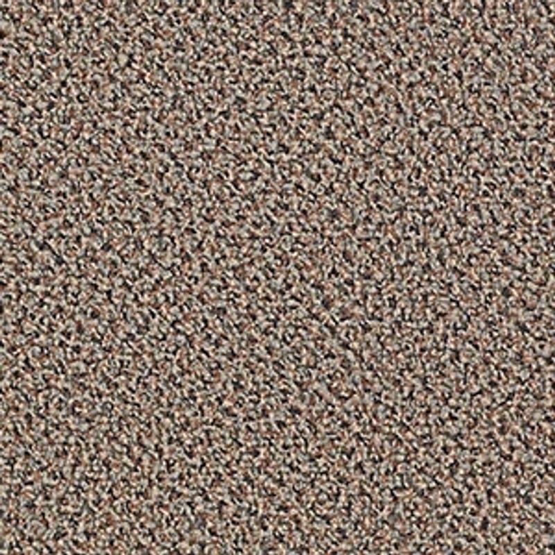 Speak Easy 54450 broadloom carpet in various colors with graphic loop design, made from 100% nylon, 12ft wide