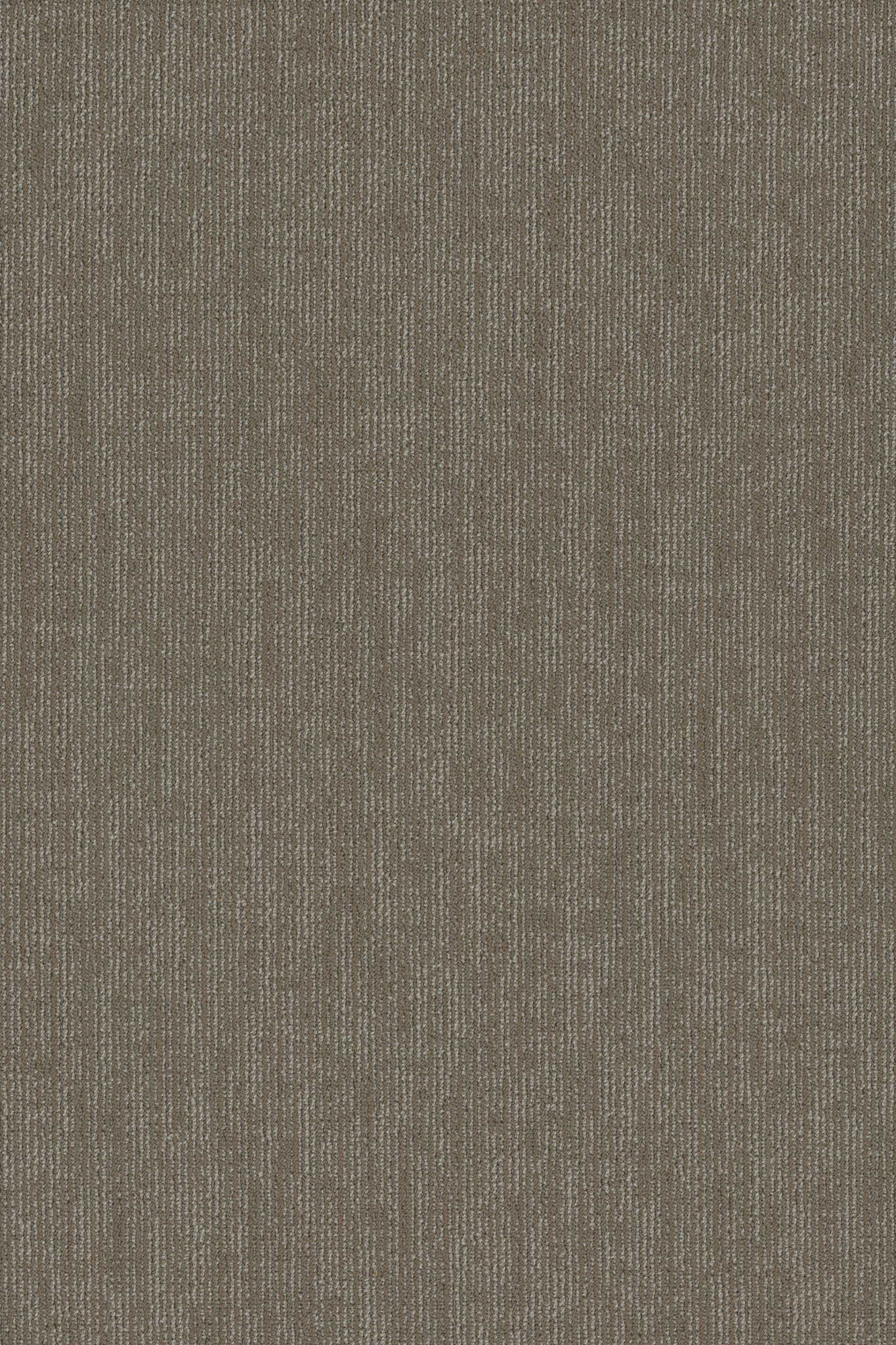 FUNCTION-54908-DIVERSIFY-00105-main-image