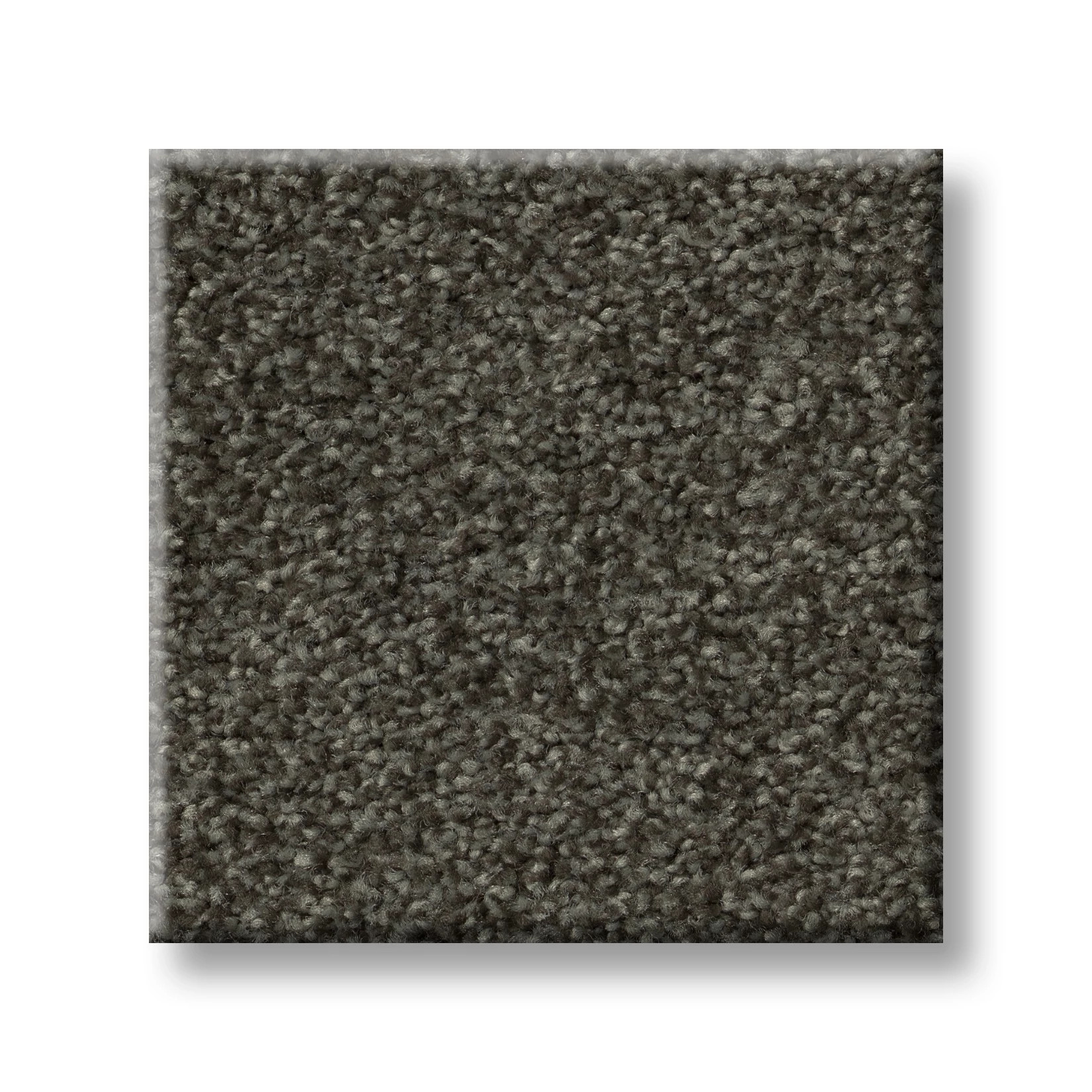 YOU KNOW IT RICH EARTH SWATCH