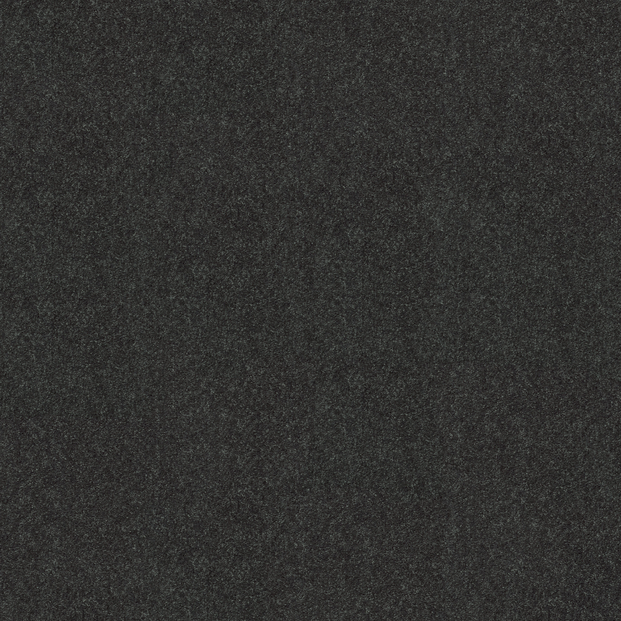 BEAUTIFULLY SIMPLE I 15' DENIM DAYS MAIN