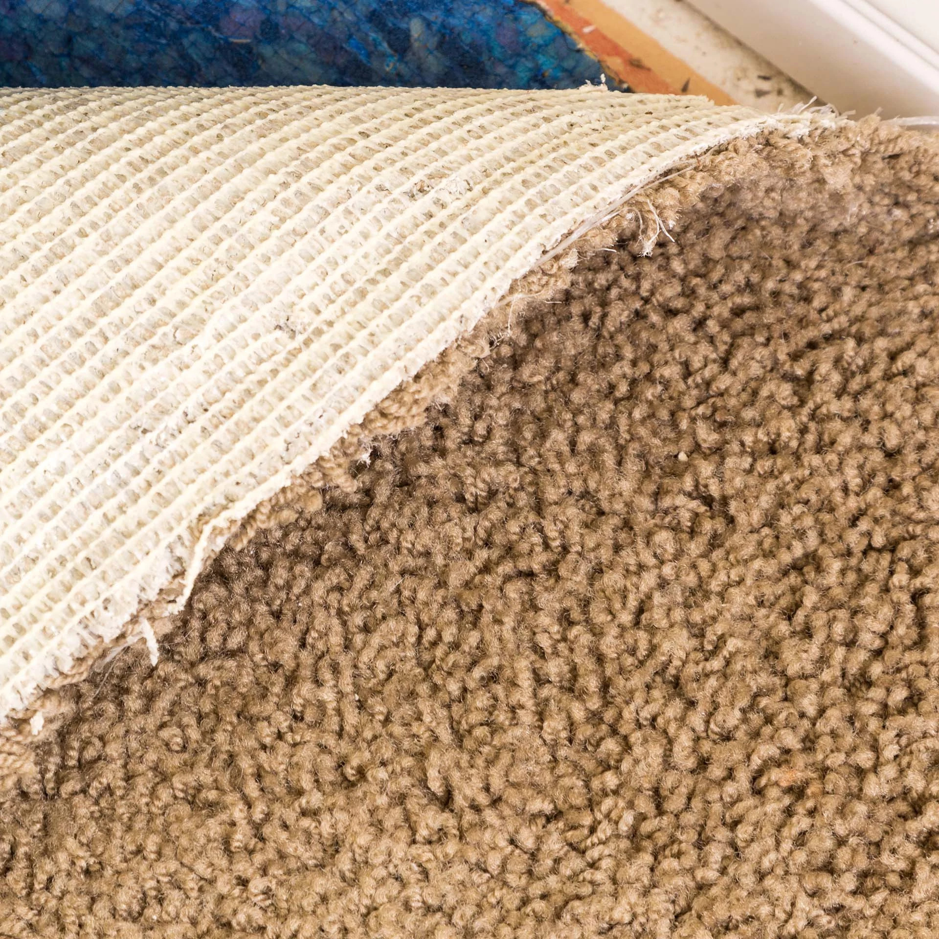 Types Of Carpet Backings Carpet Vidalondon