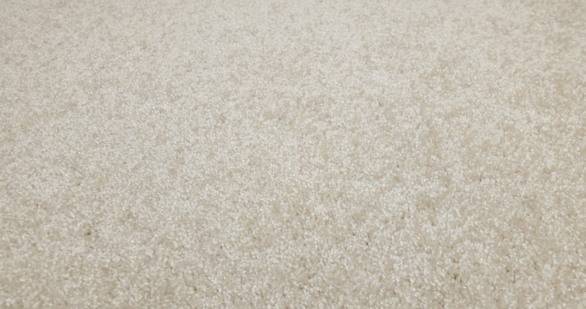 PREMIER ROLE SAND DOLLAR 360PROD