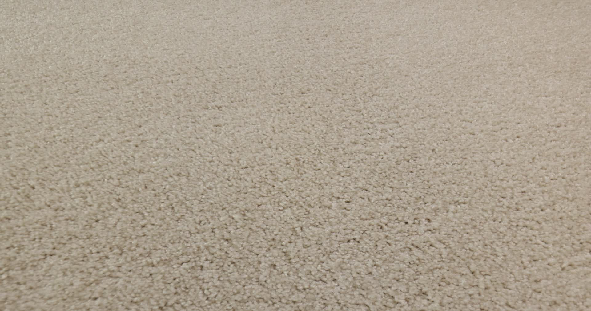 OCEAN PINES 12' SAND DOLLAR 360PROD