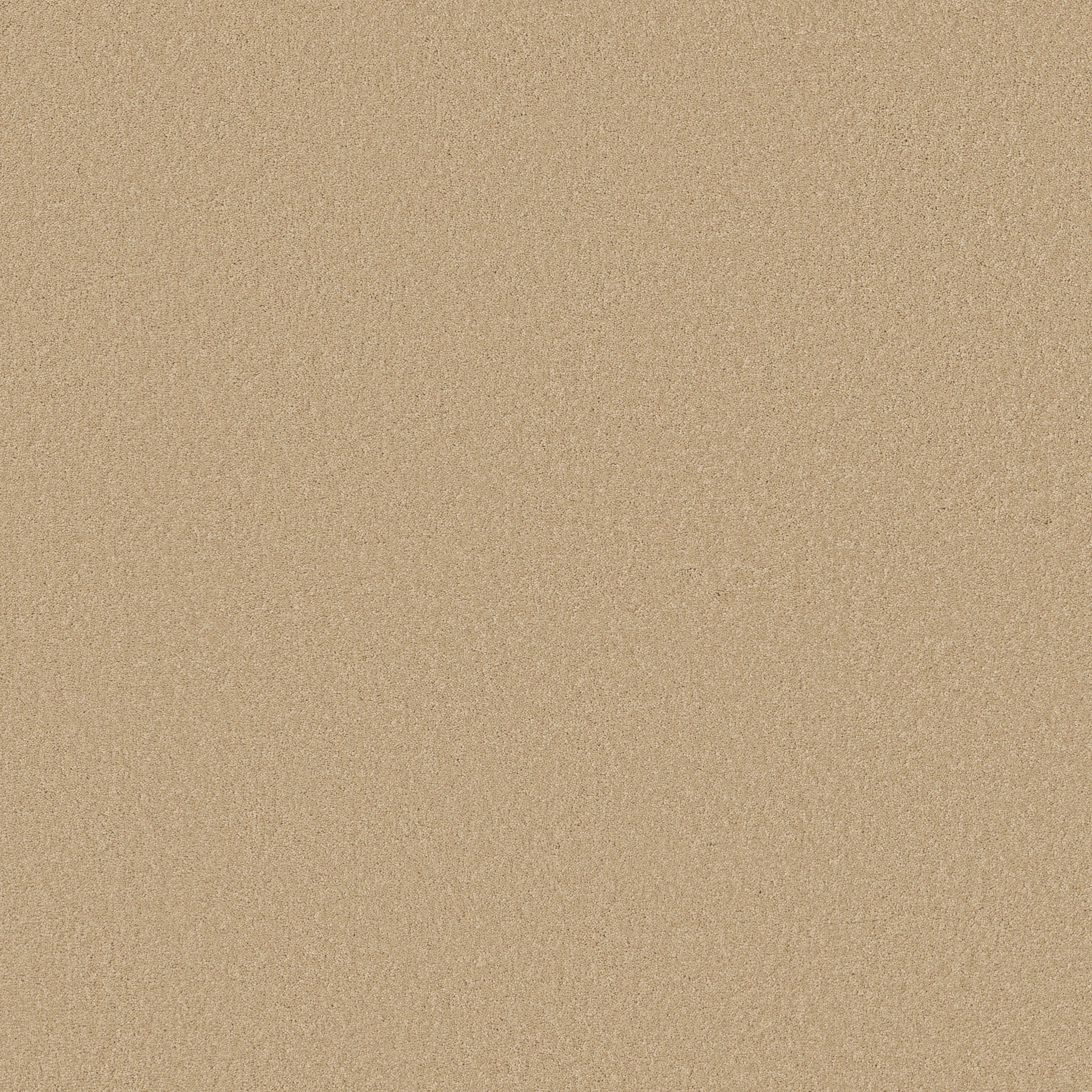 TIMELESS APPEAL I 12' MARZIPAN MAIN