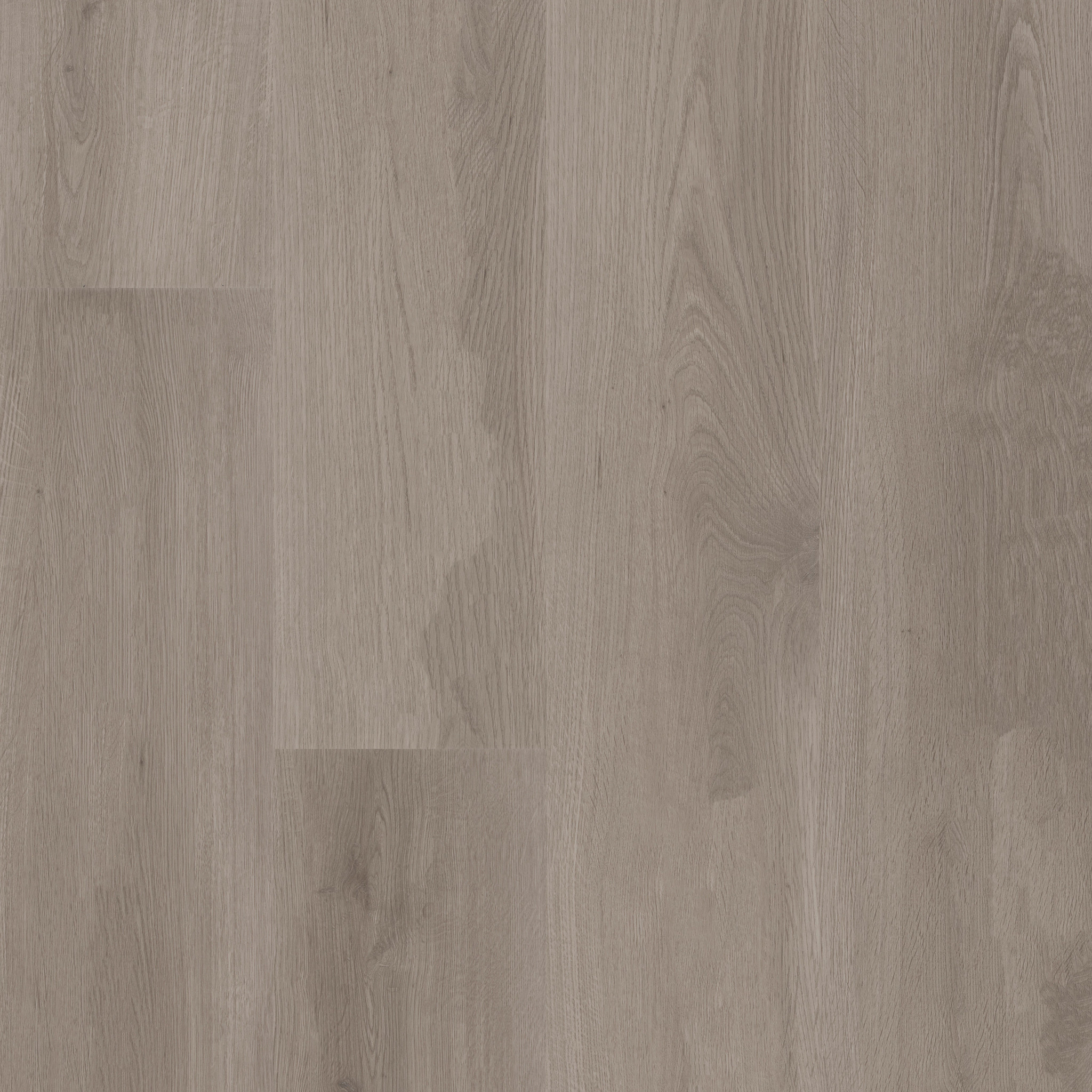 Aspire Natural Bevel - in Summit Grey | Shaw Floors