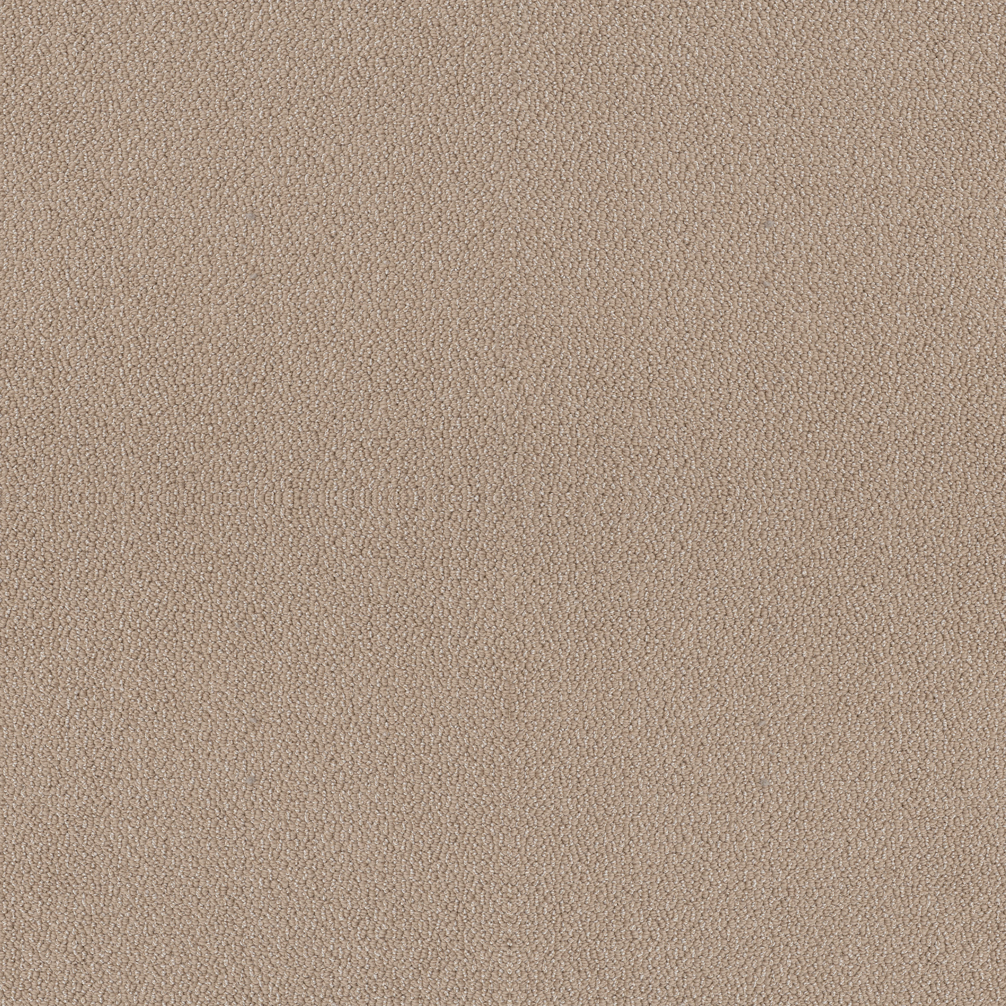 EMBELLISHED THATCHED ROOF MAIN