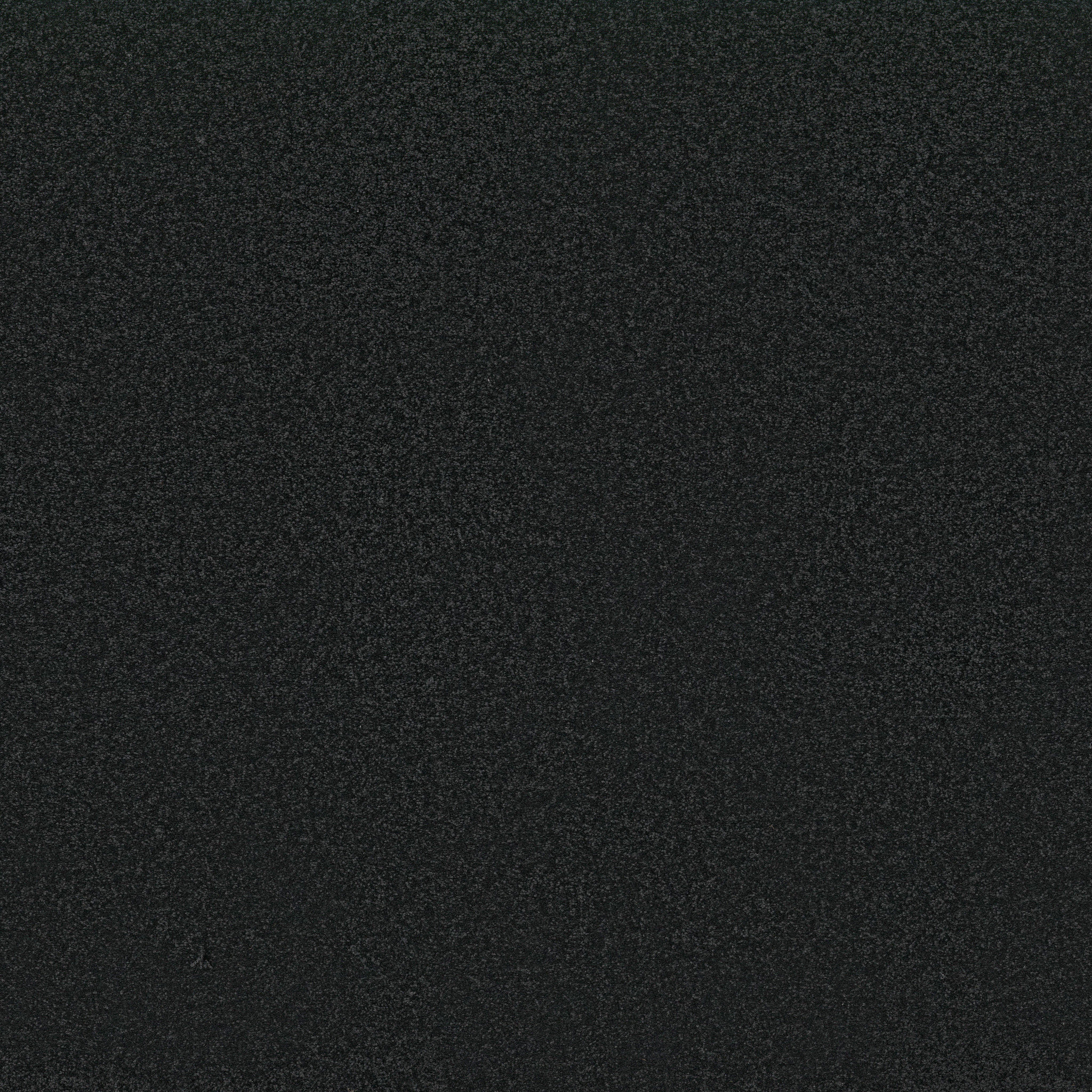 AWAKEN SPIRIT I 12' BLACKOUT MAIN