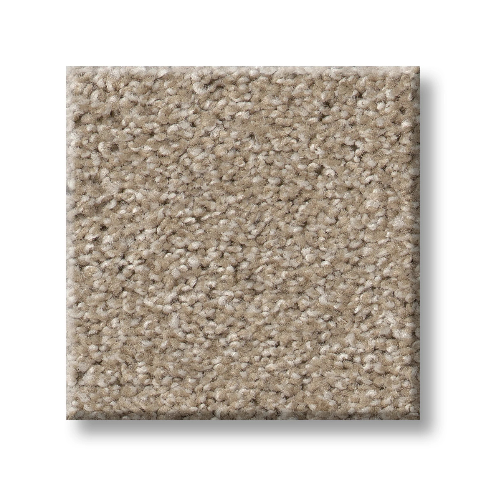 OPPORTUNITY KNOCKS CORK BOARD SWATCH