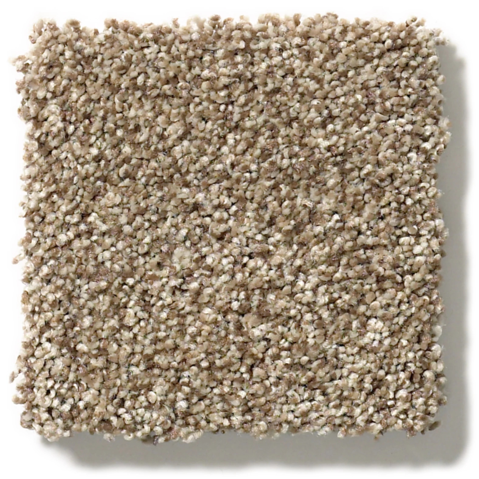 AG SENSATIONAL DOG SLED SWATCH