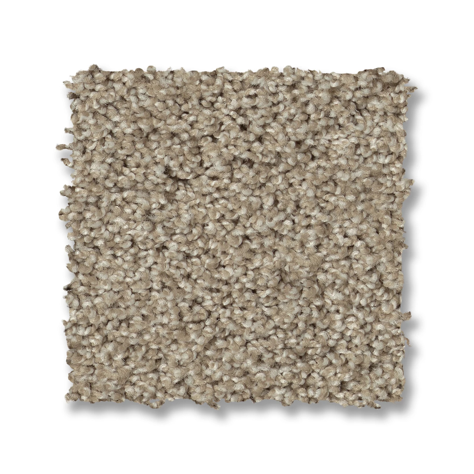 ACADIA PARK CLAY SWATCH