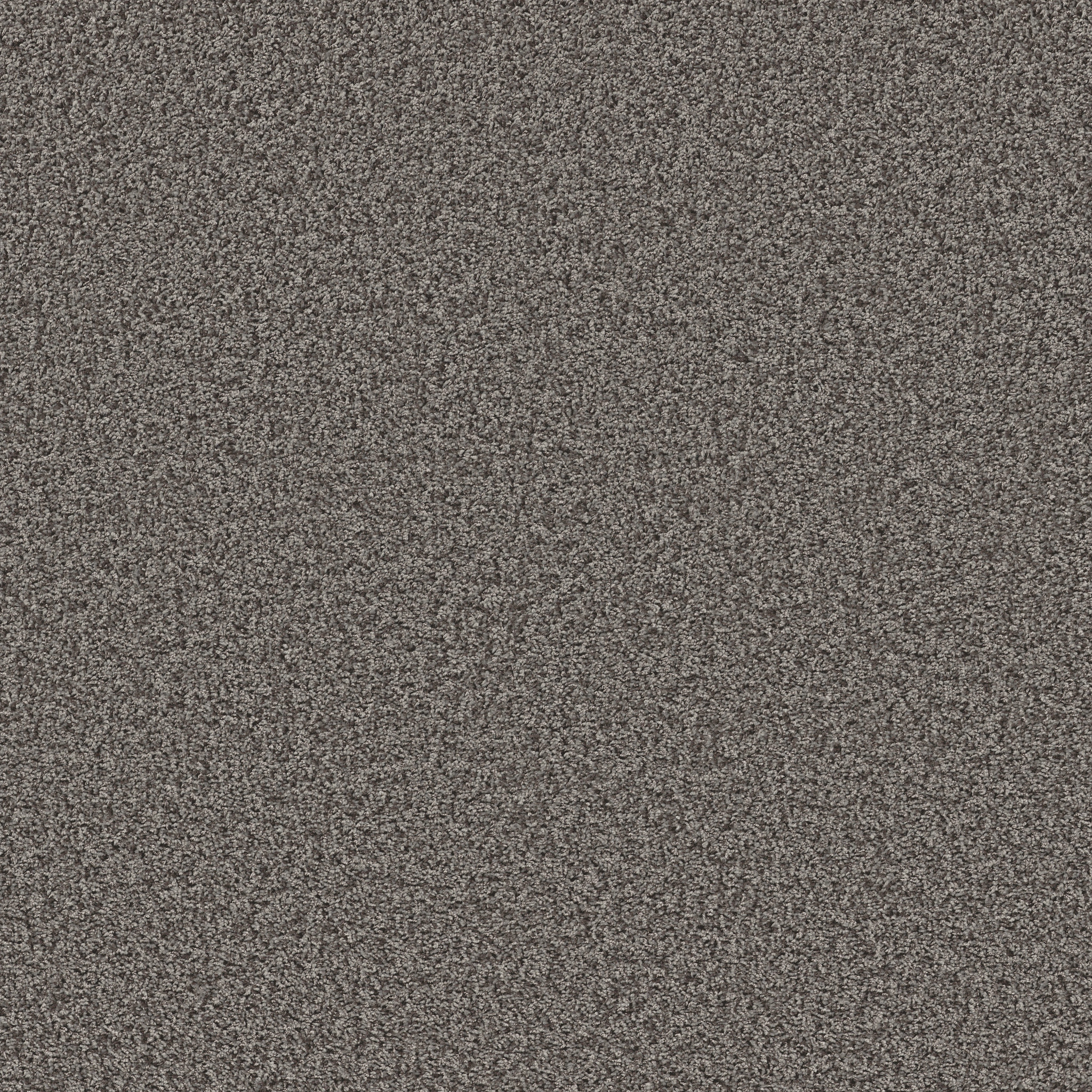 COLOR FLAIR GRAY FLANNEL MAIN