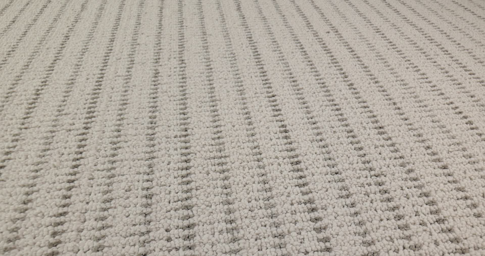 LAKEN SEAGULL 360PROD