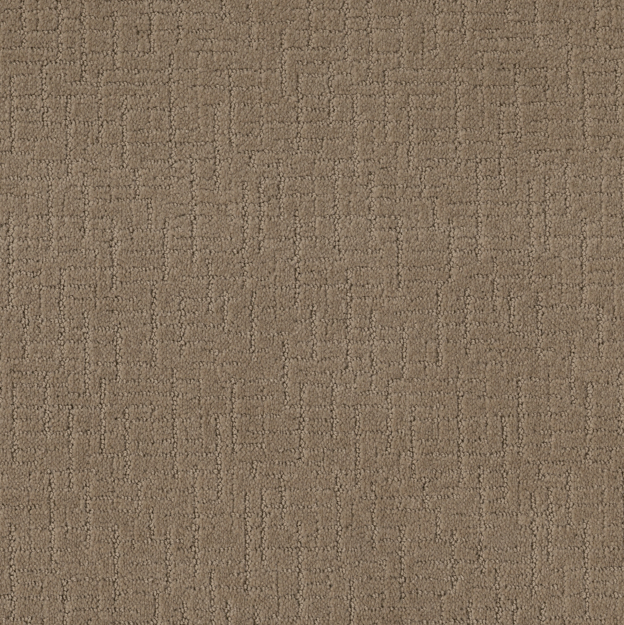 ONE MORE HOUR STUCCO TAN MAIN