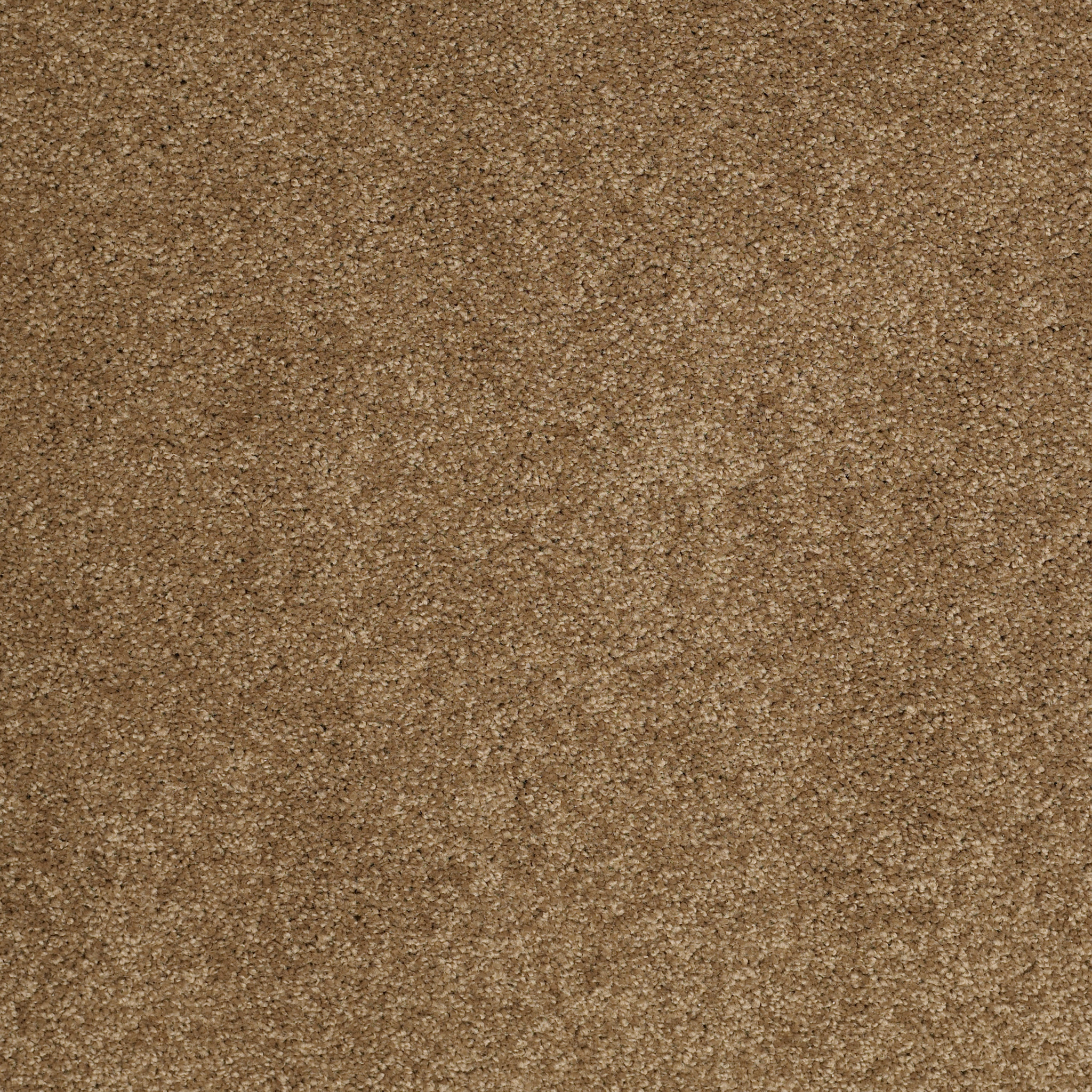 DREAMS I BRONZE GLOW MAIN