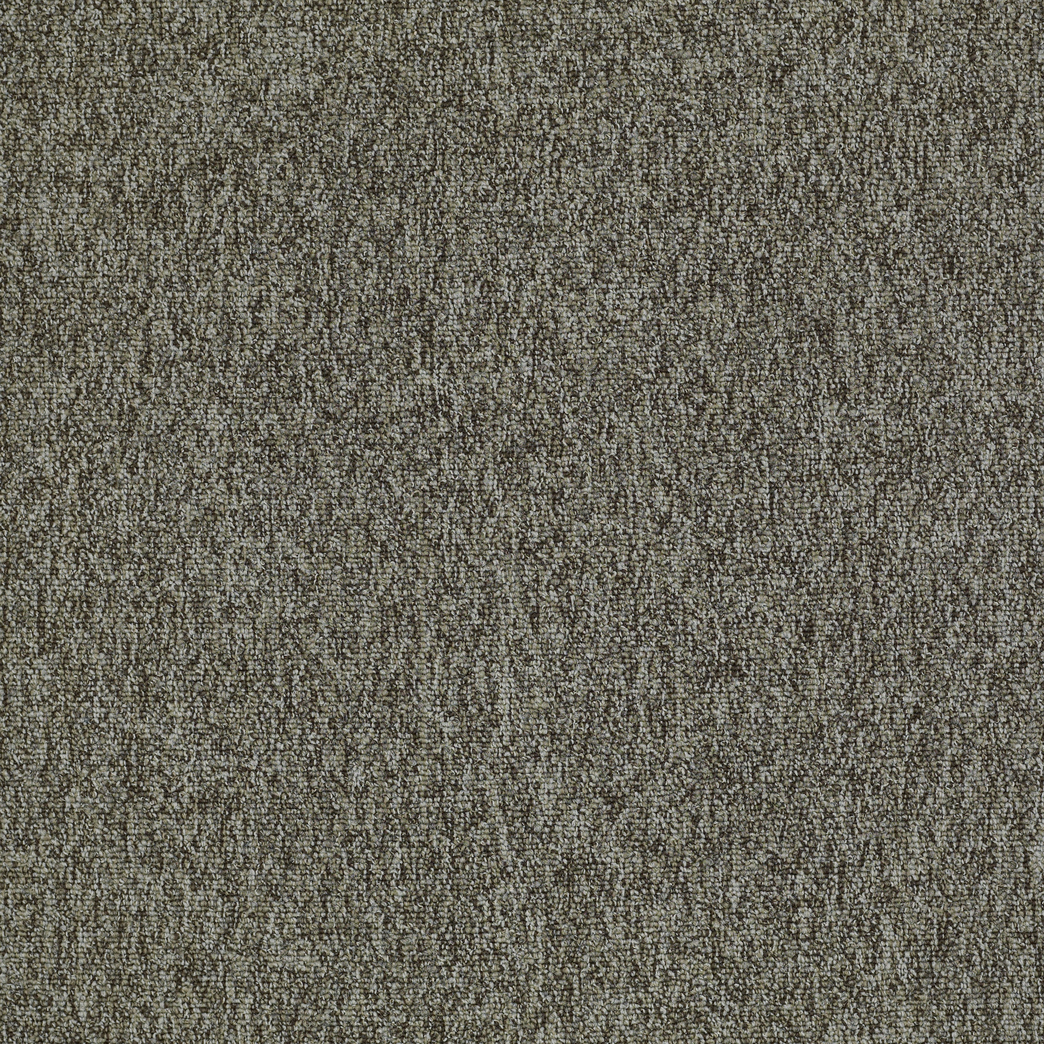 MULTIPLICITY-54593-CLUSTER-00505-main-image