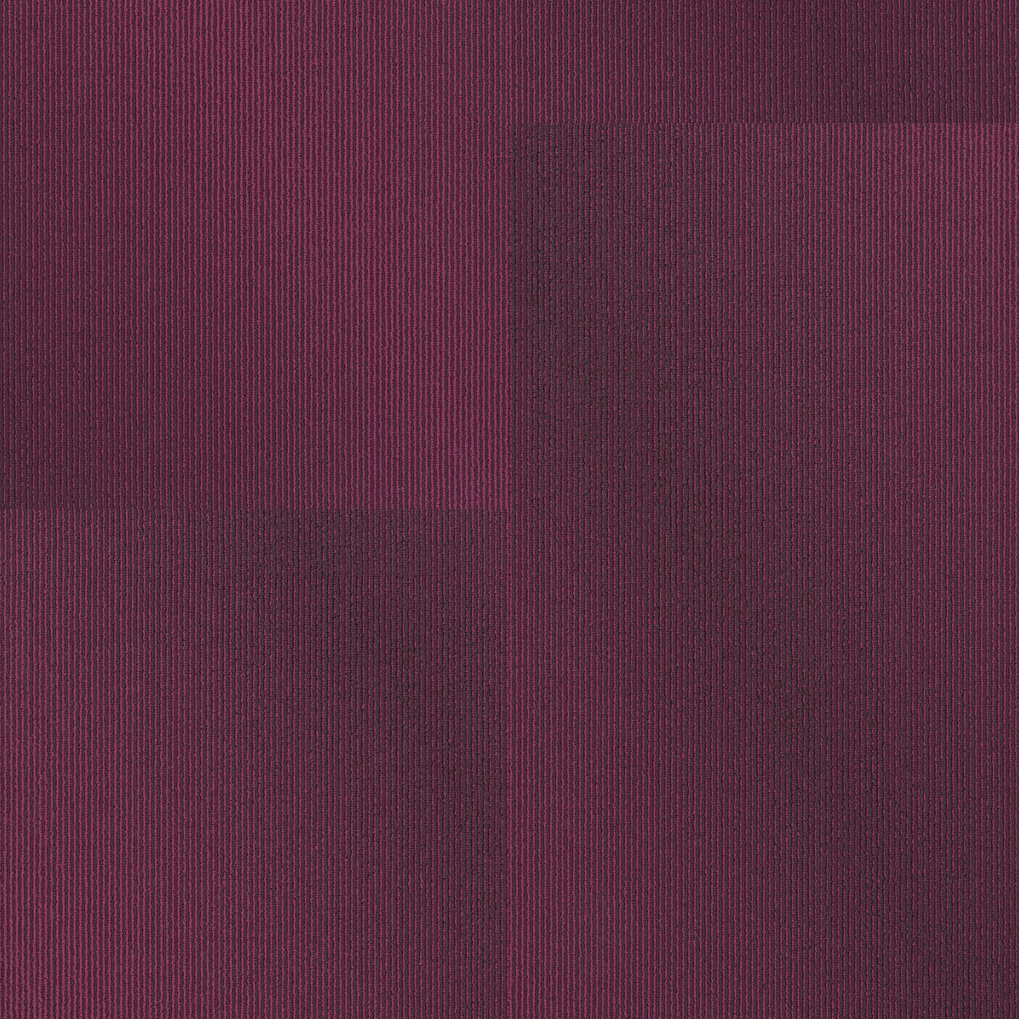 RADIATE-54943-VIBRANT-00910-main-image