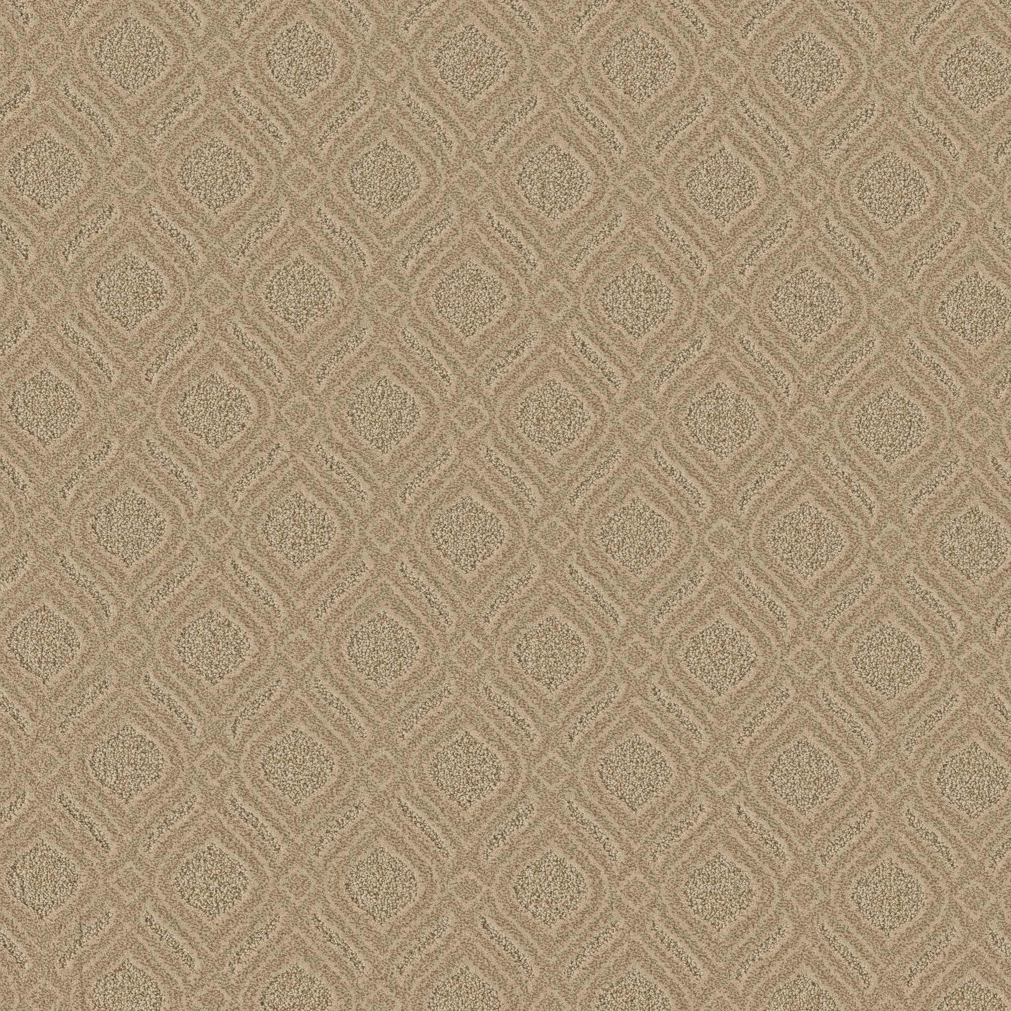 Expressive - 100% ANSO® High Performance Nylon in Beach