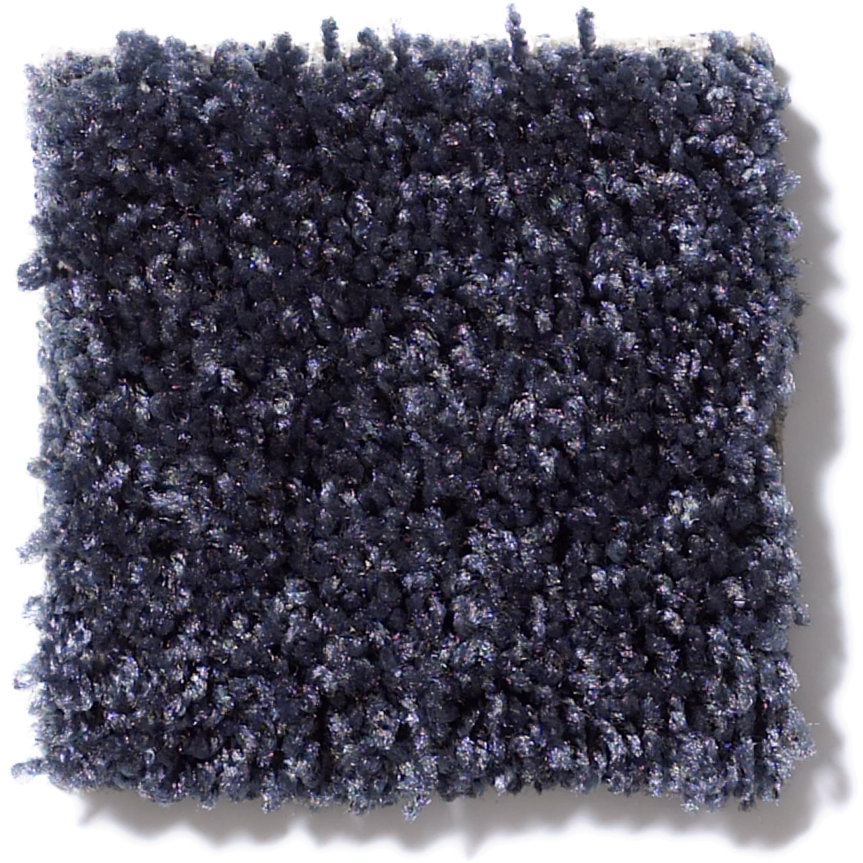 DREAMIN' 12' SUMMER NIGHT SWATCH