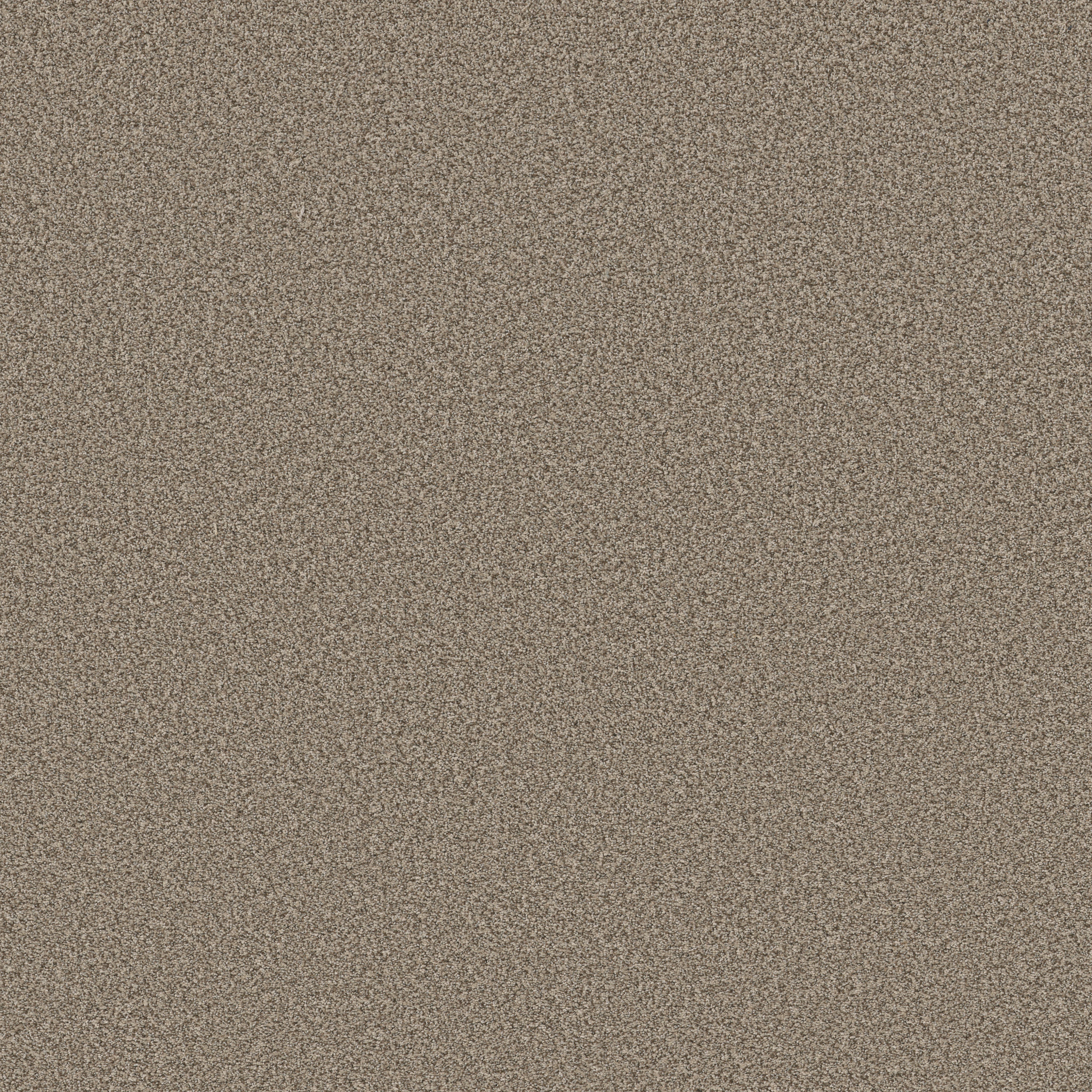 AVALON BAY CHIC TAUPE MAIN
