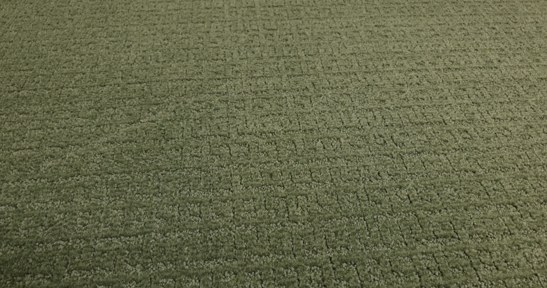 VIGNETTE FERN 360PROD